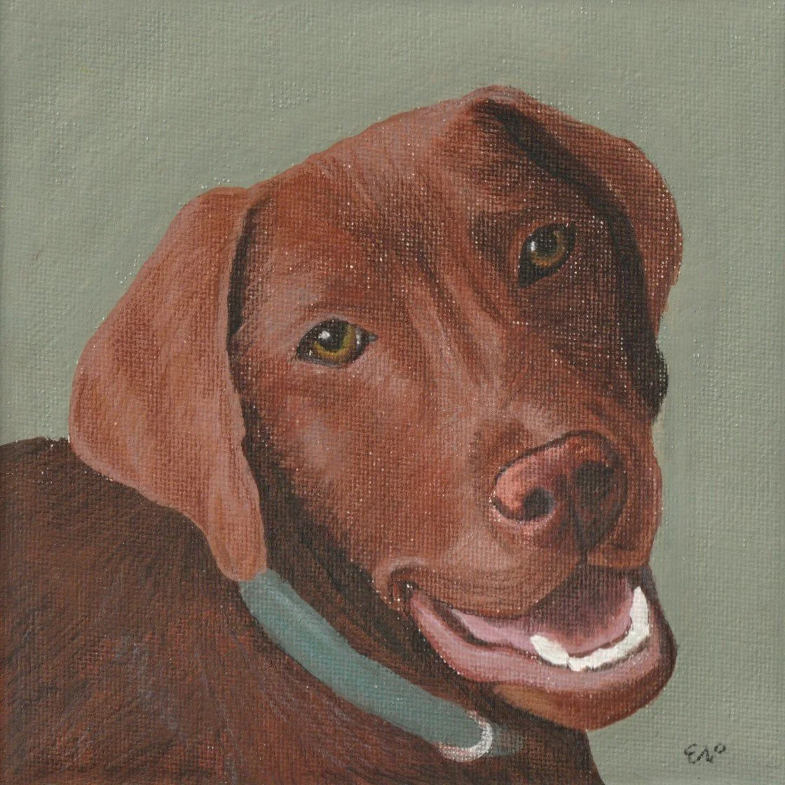 chocolate lab | 6x6 | gouache + colored pencil on canvas