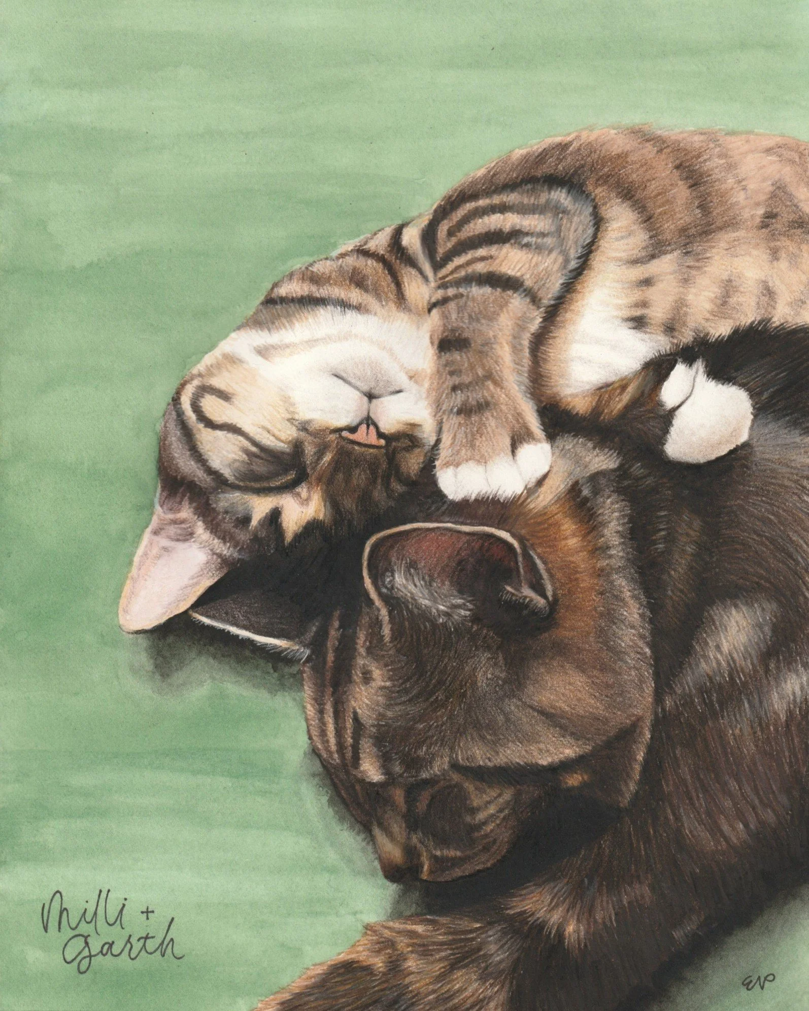 Milli + Garth | 8x10 | watercolor + colored pencil
