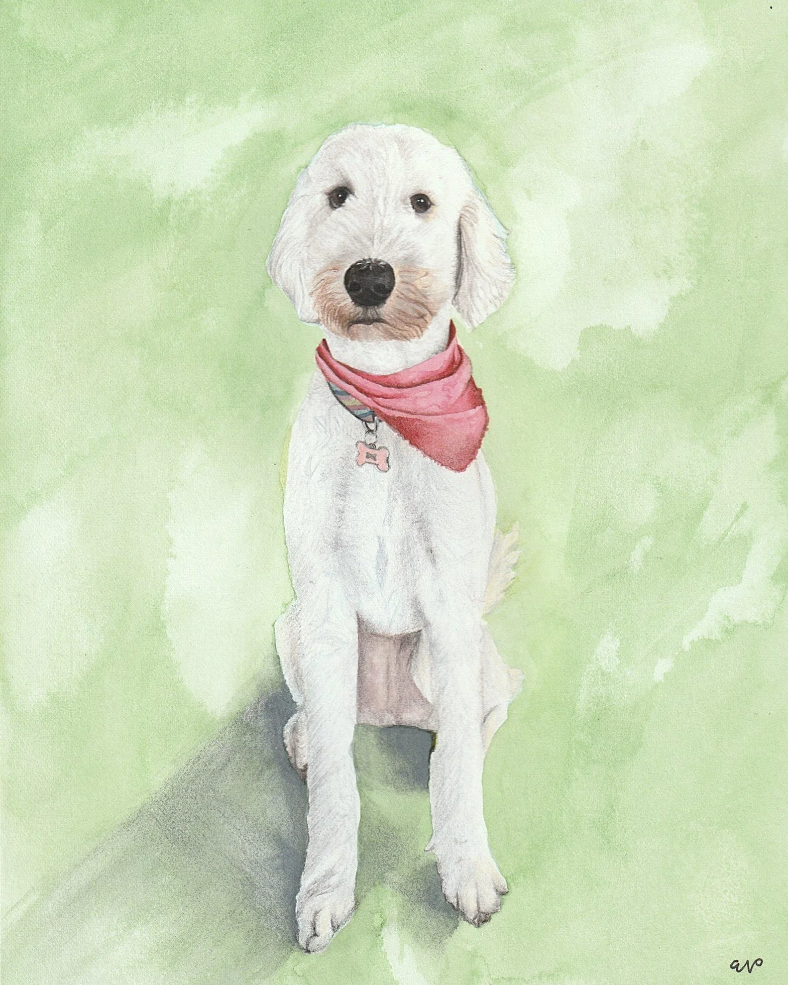 Poodle | 8x10 | watercolor + colored pencil
