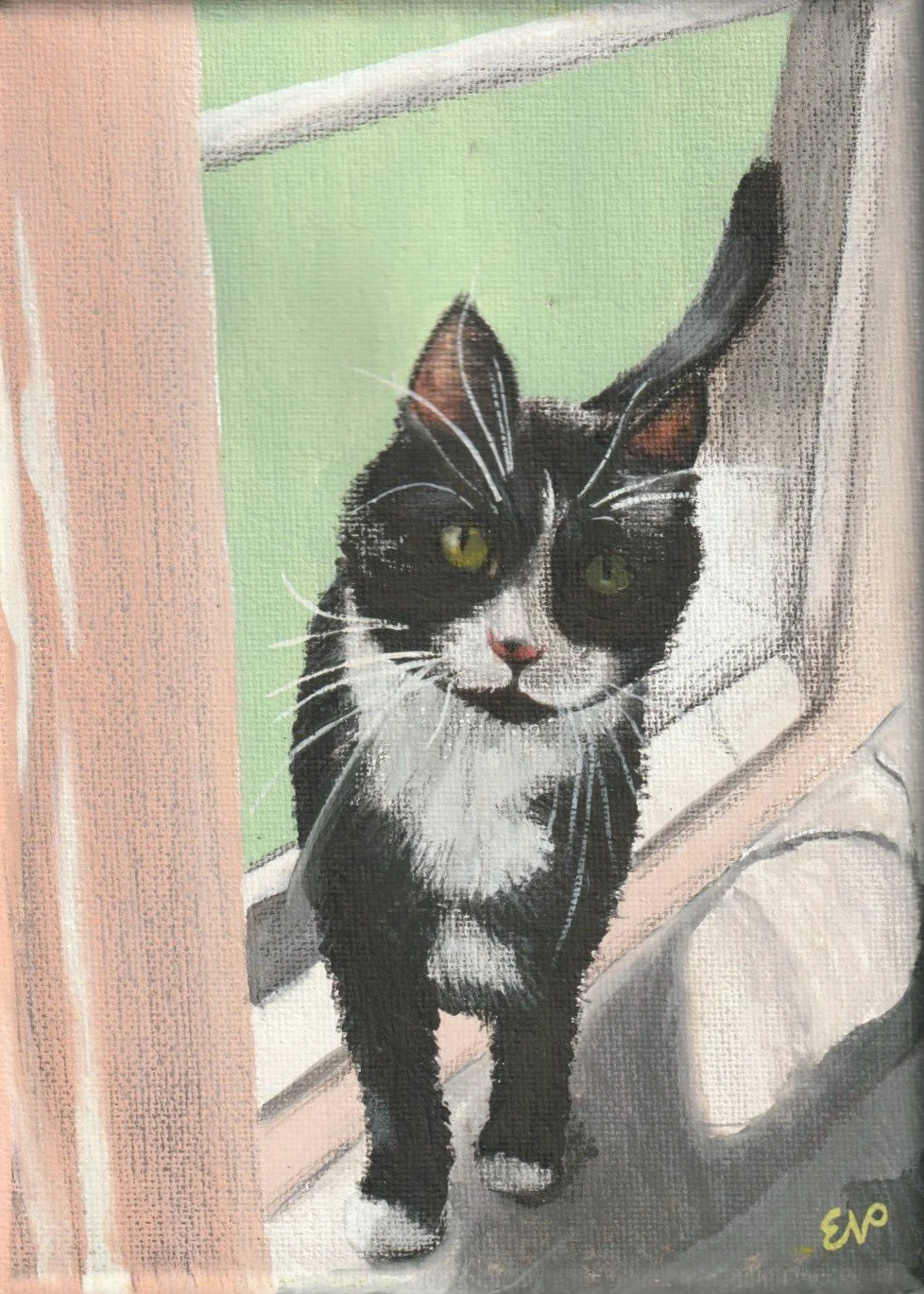 tuxedo cat | 5x7 | gouache + colored pencil on canvas