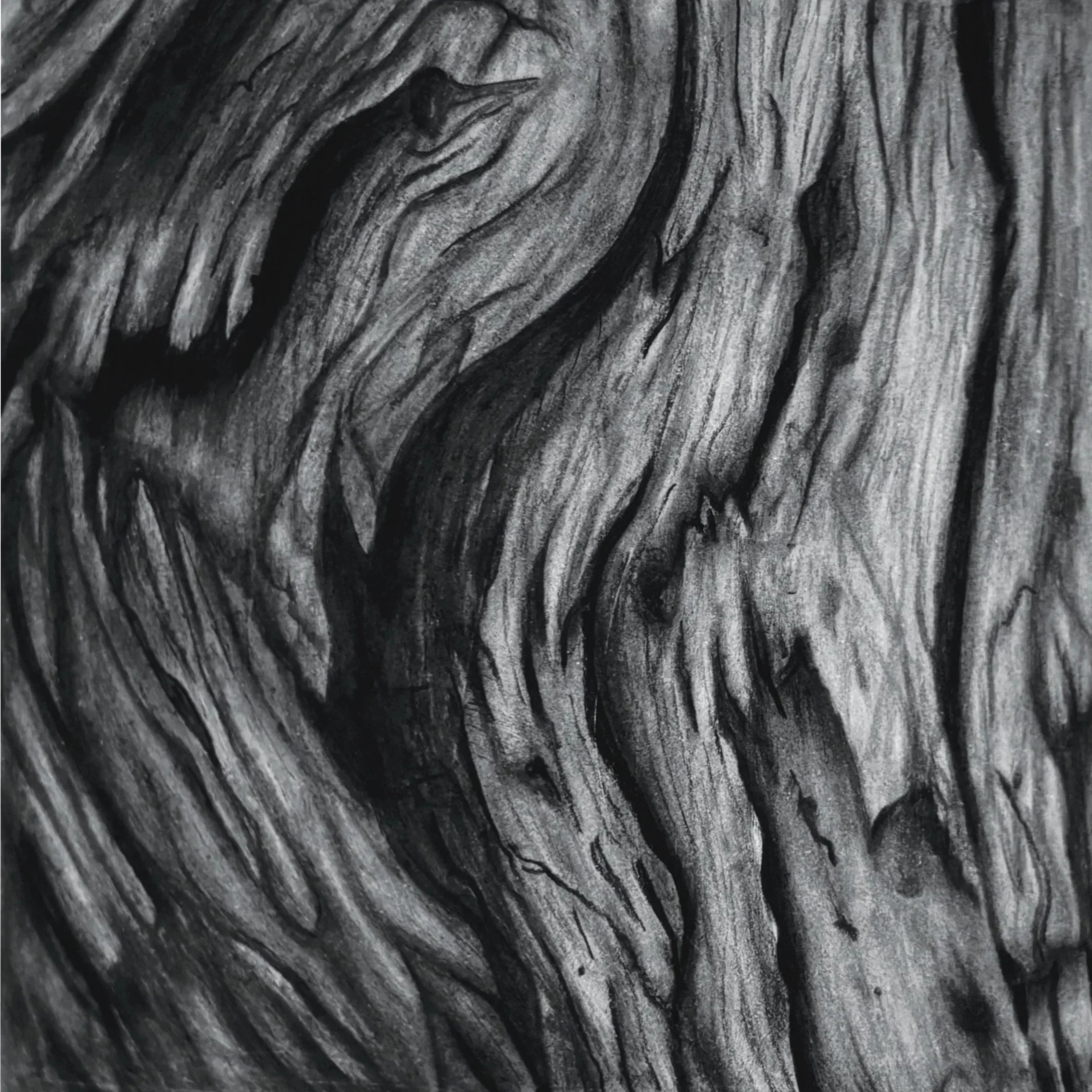 texture+-+Copy.jpg