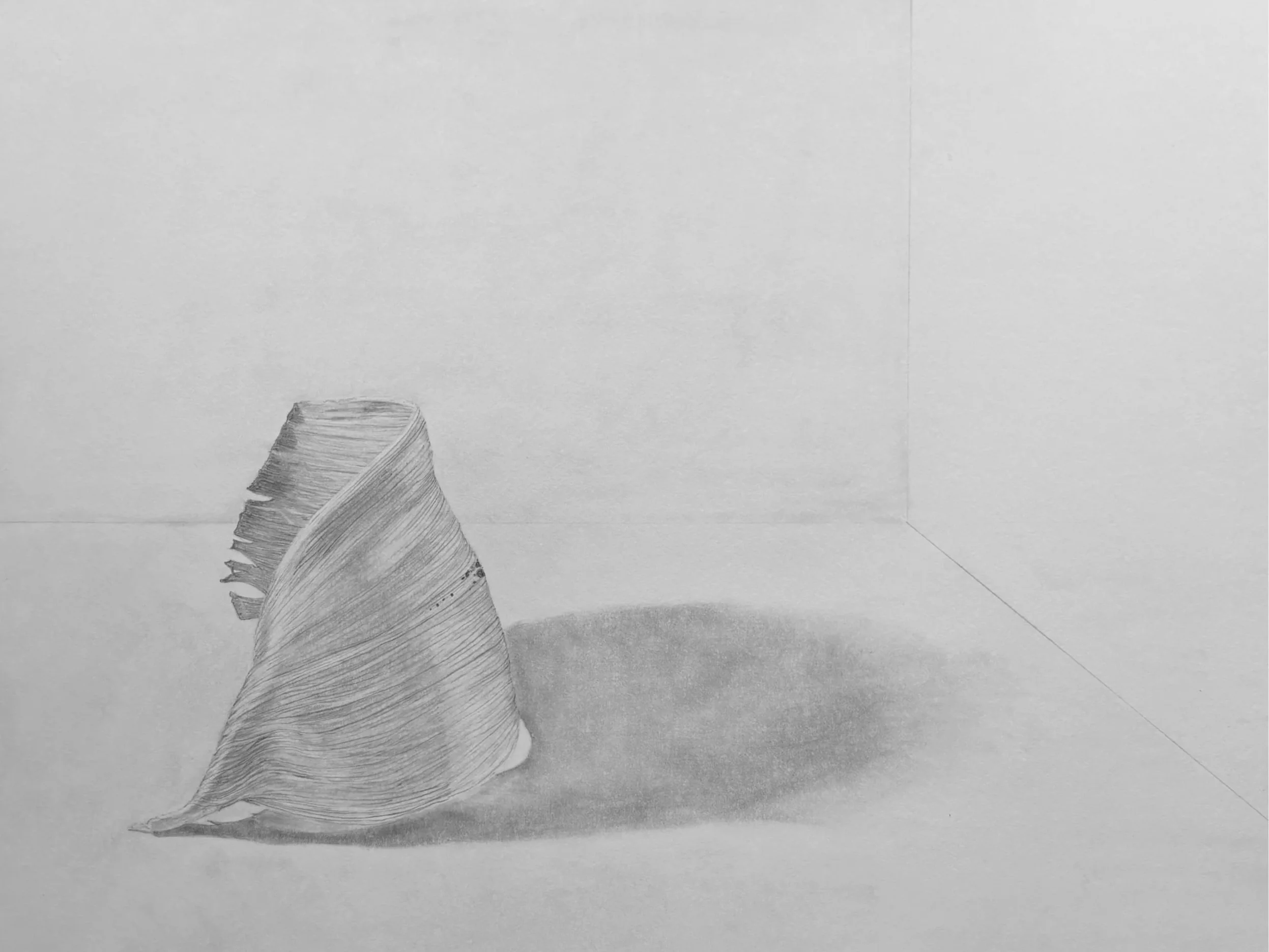 vanpelt_drawing+%282%29.jpg