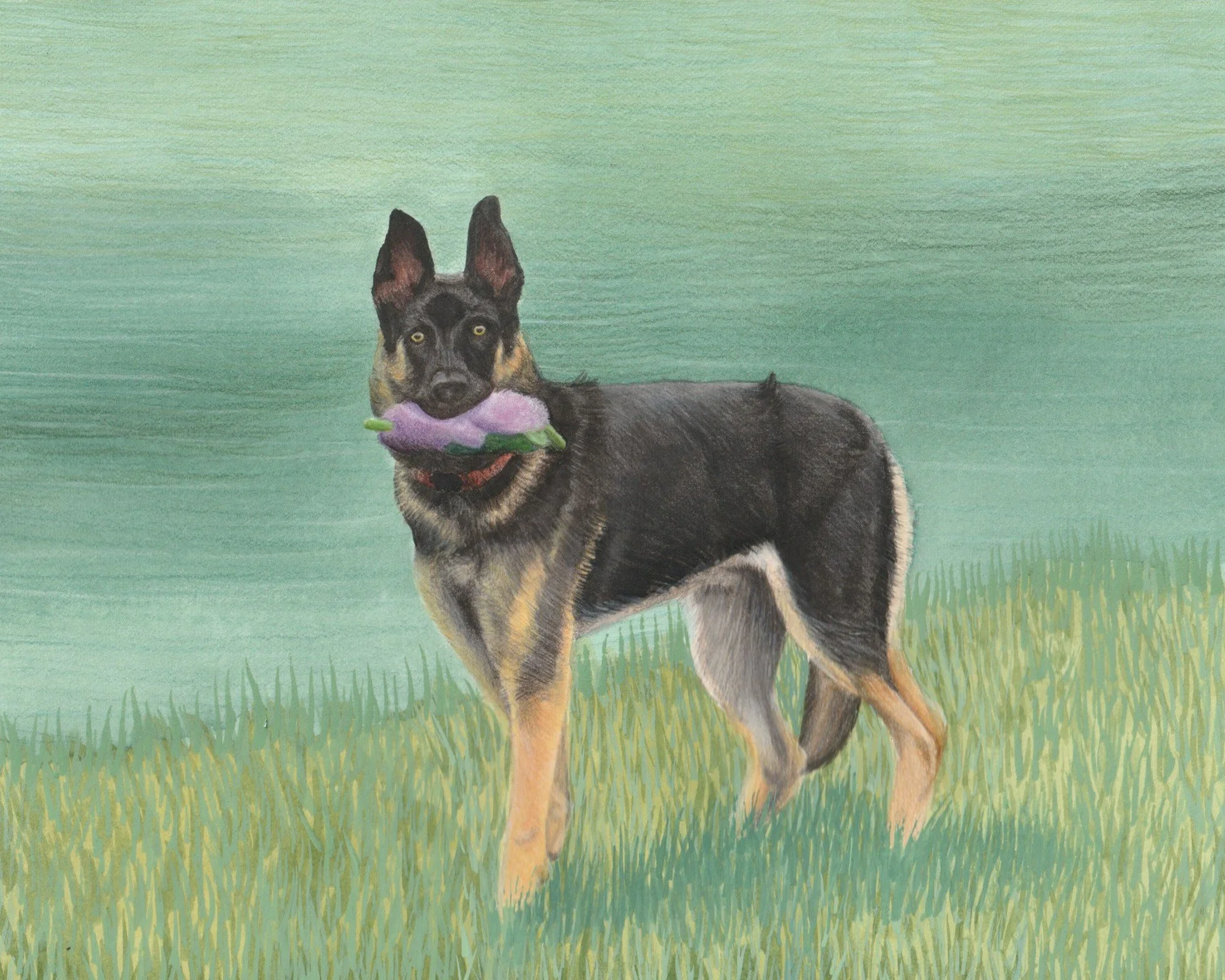 Sisu | 8x10 | watercolor + colored pencil