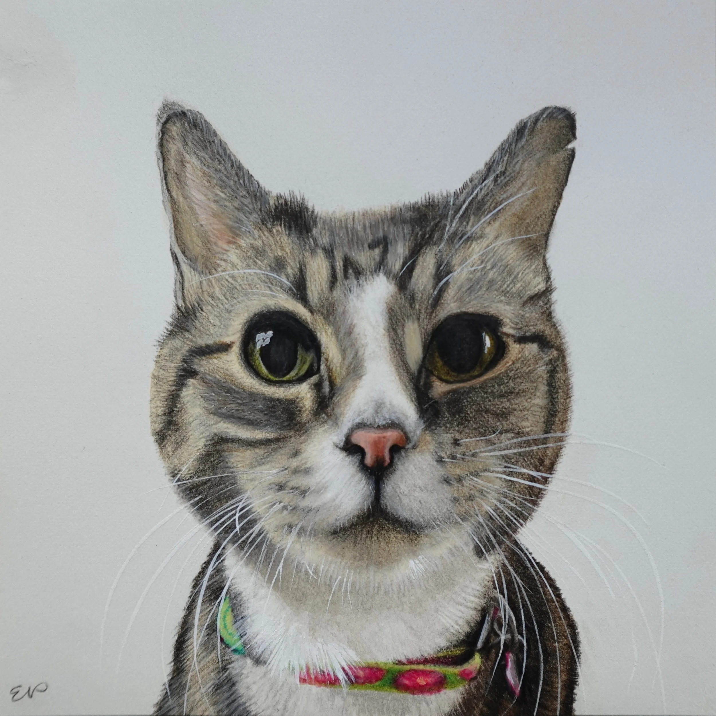 Neville | 6x6 | watercolor + colored pencil