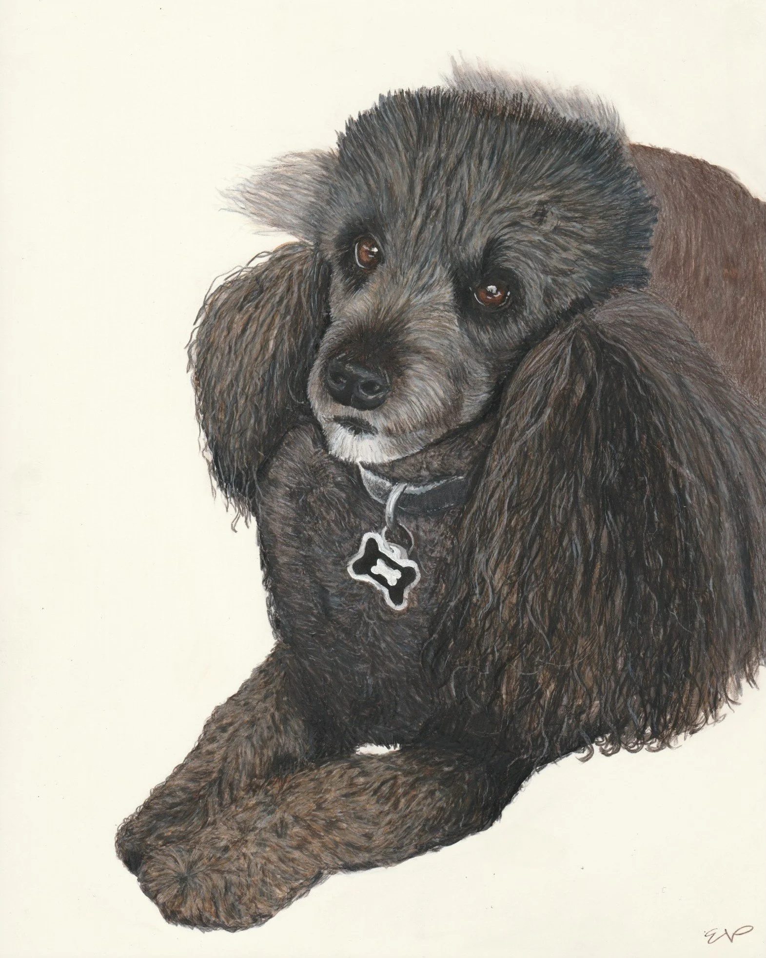 Auggie | 8x10 | watercolor + colored pencil