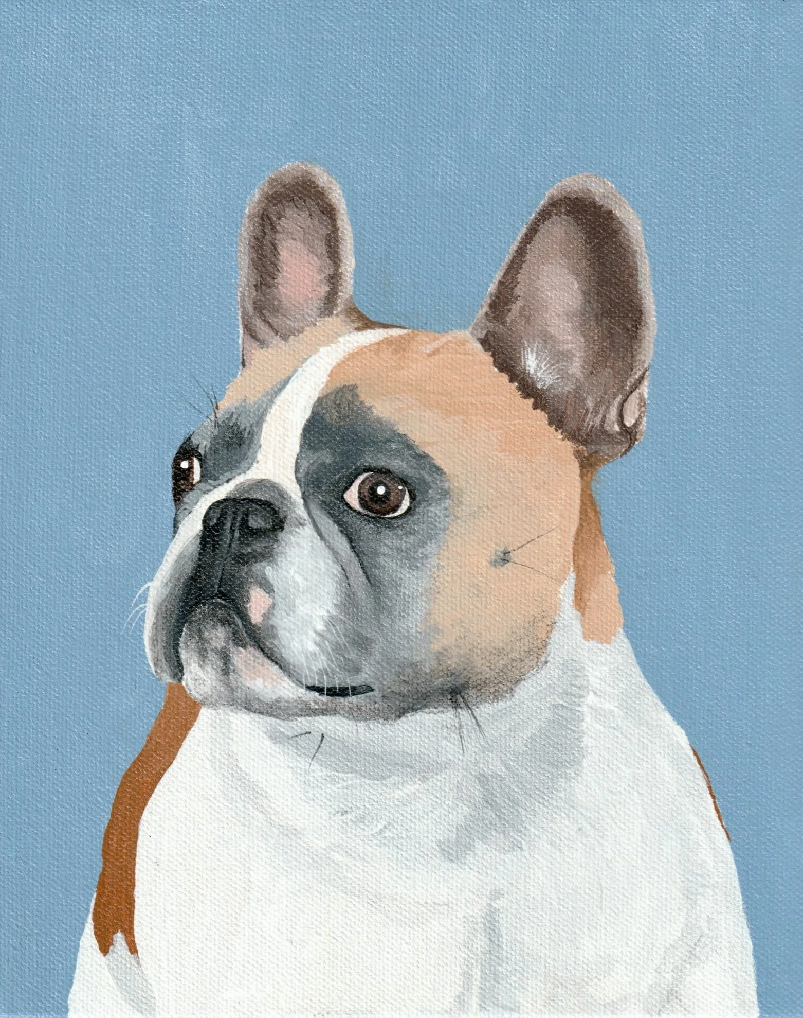 Custom Pet Portrait