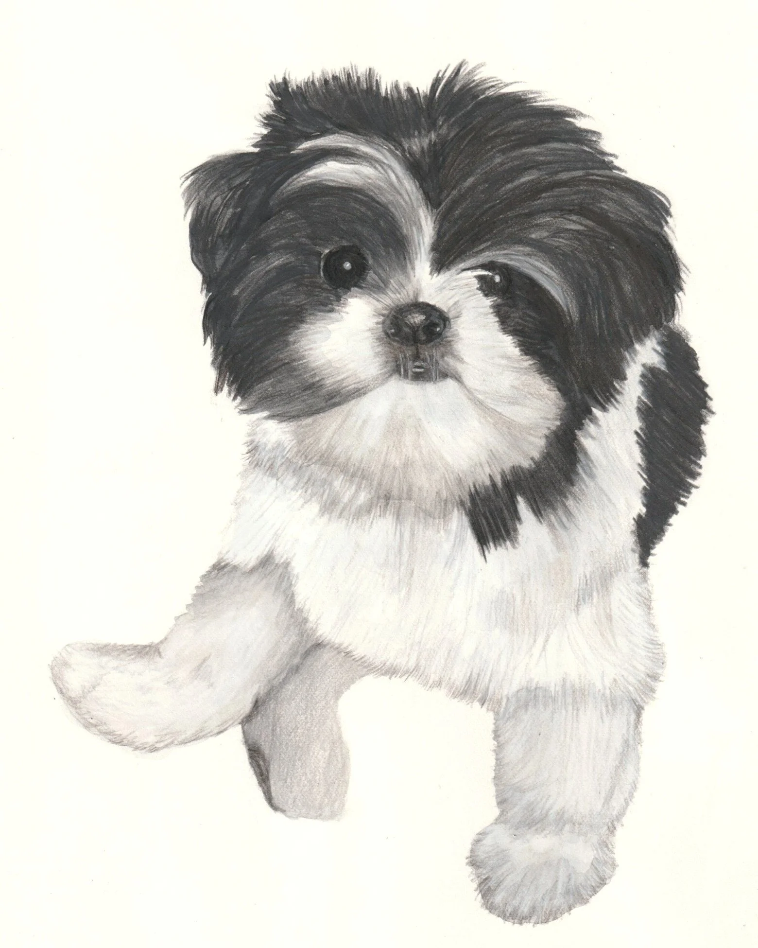 Manolo | 8x10 | watercolor + colored pencil