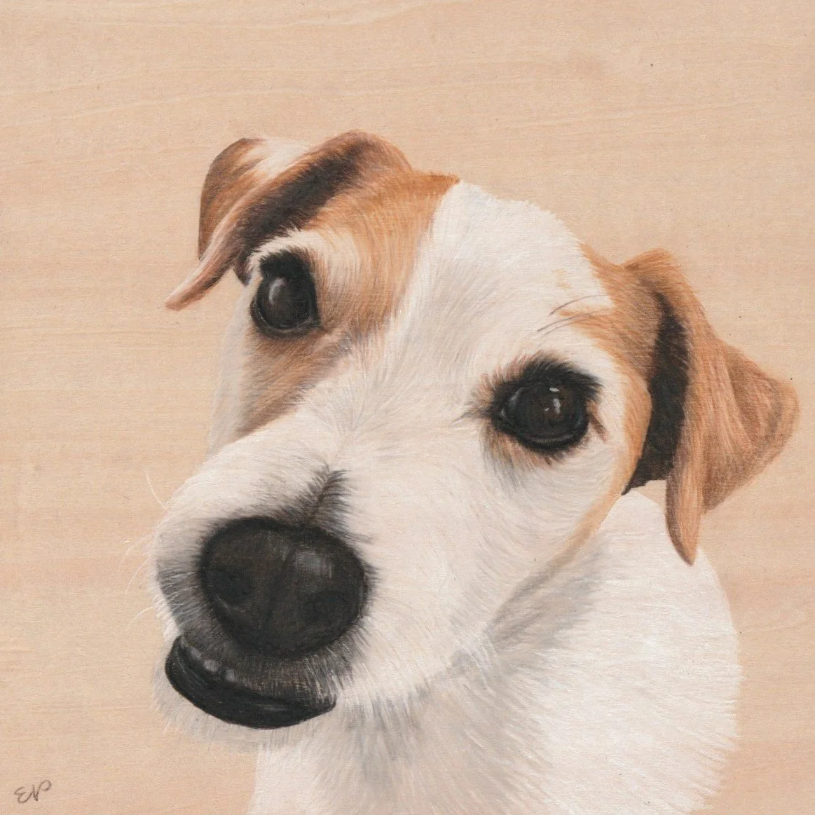 Finch | 6x6 | colored pencil on wood panel