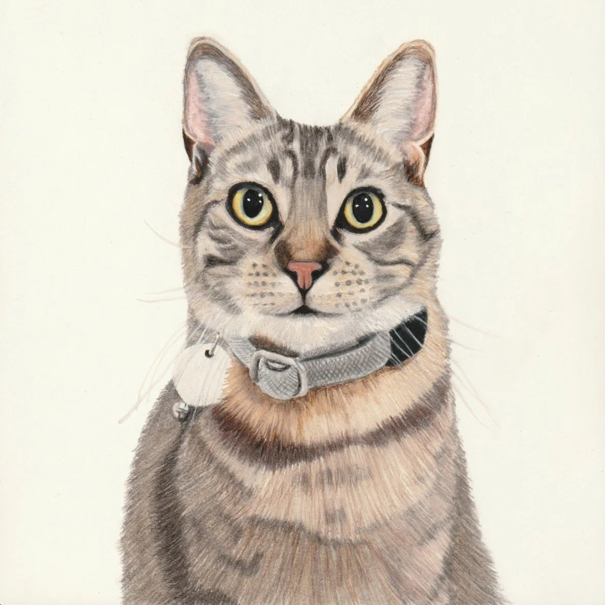 Astro | 6x6 | watercolor + colored pencil