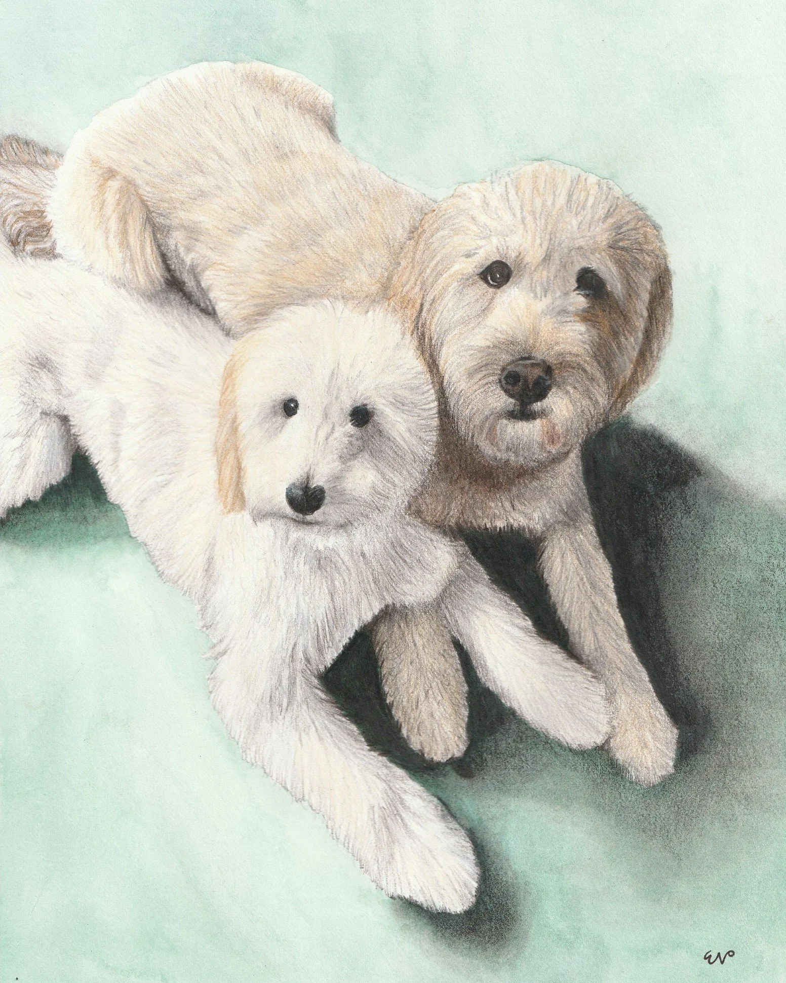 Double Doodle | 8x10 | watercolor + colored pencil