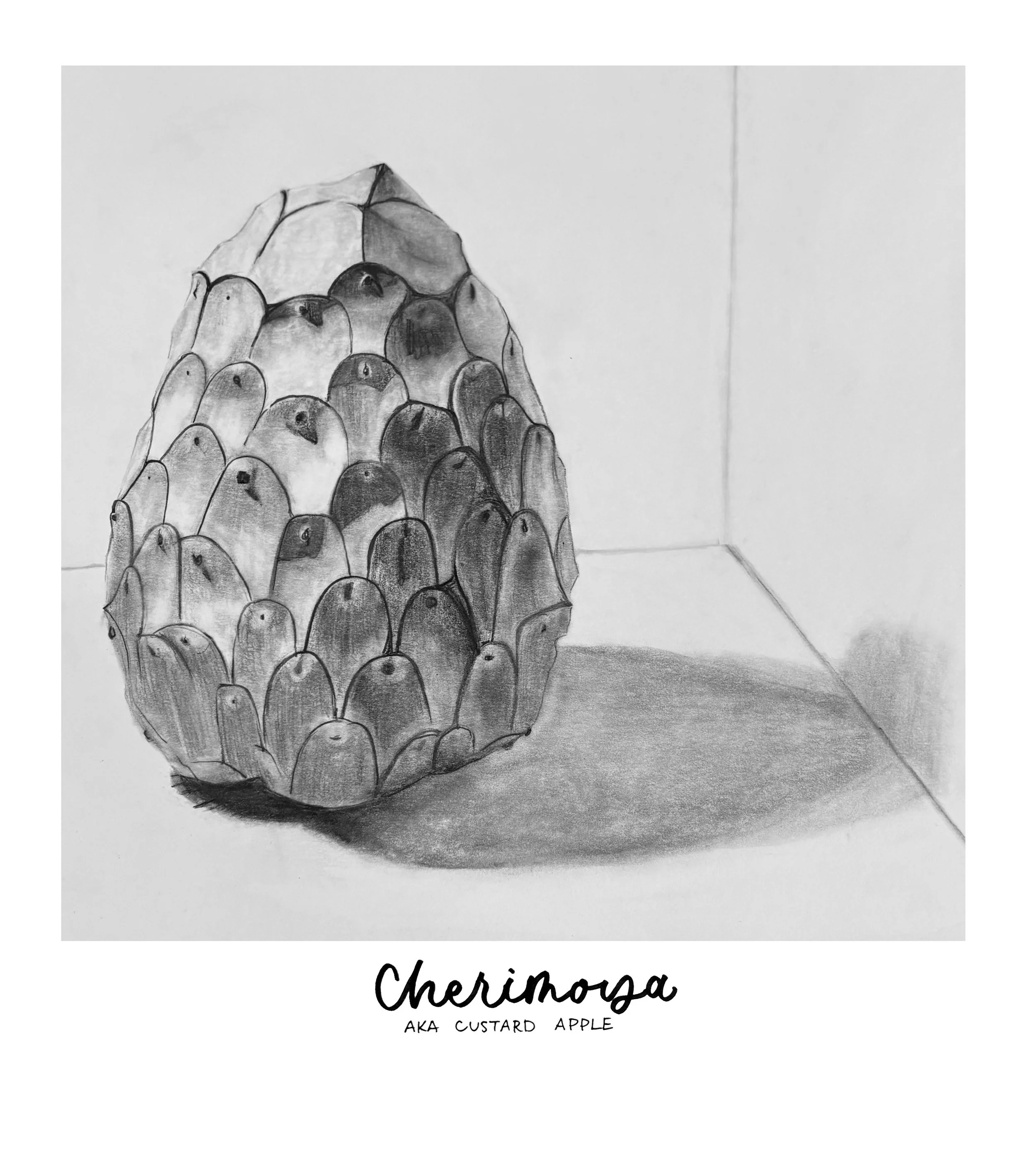 cherimoya.jpg
