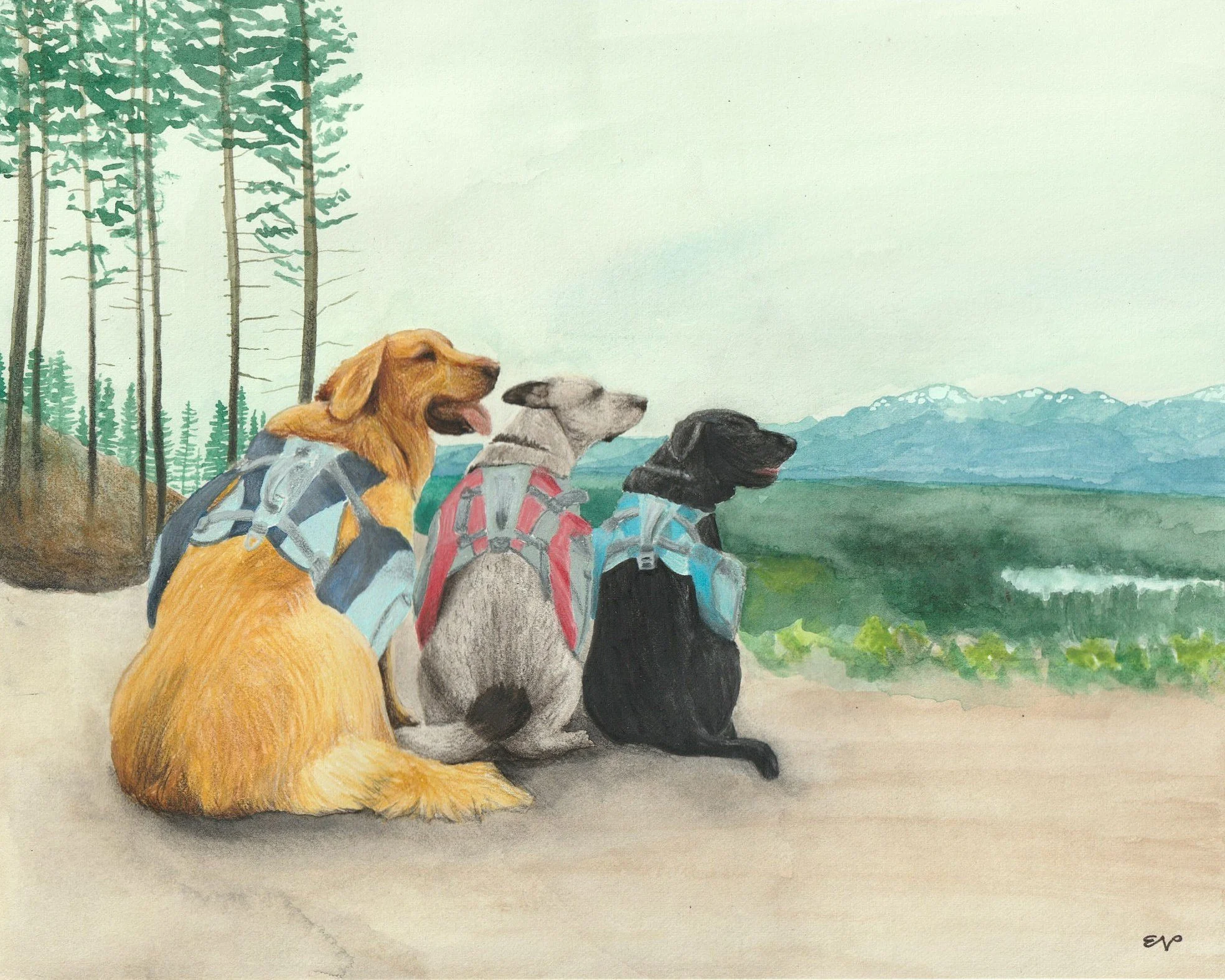 Triple Dog | 8x10 | watercolor + colored pencil