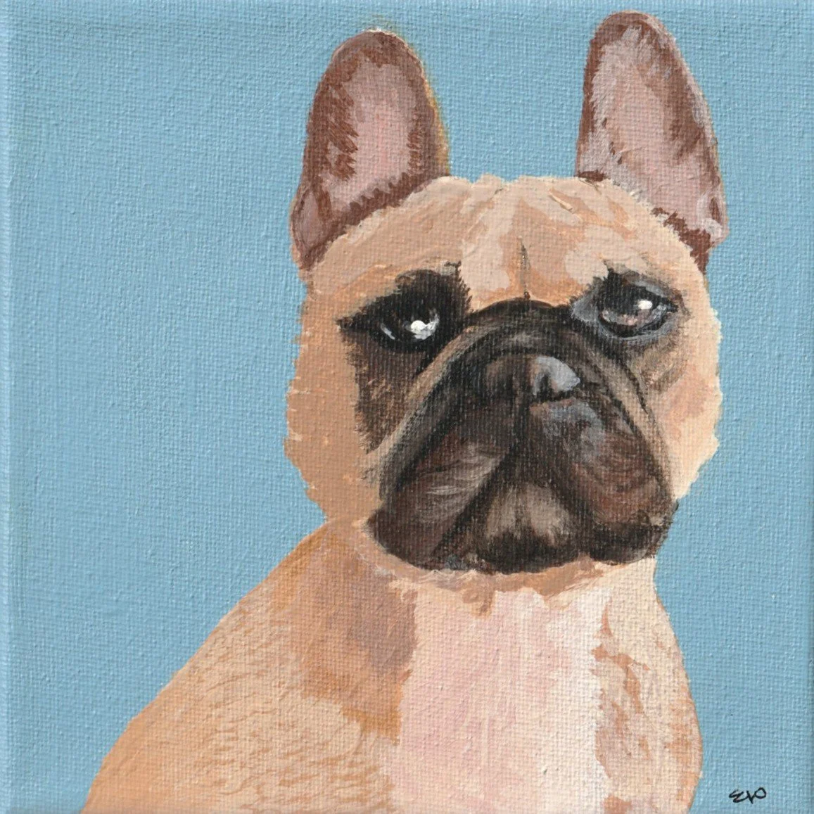 French Bulldog | 6x6 | Acrylic on canvas