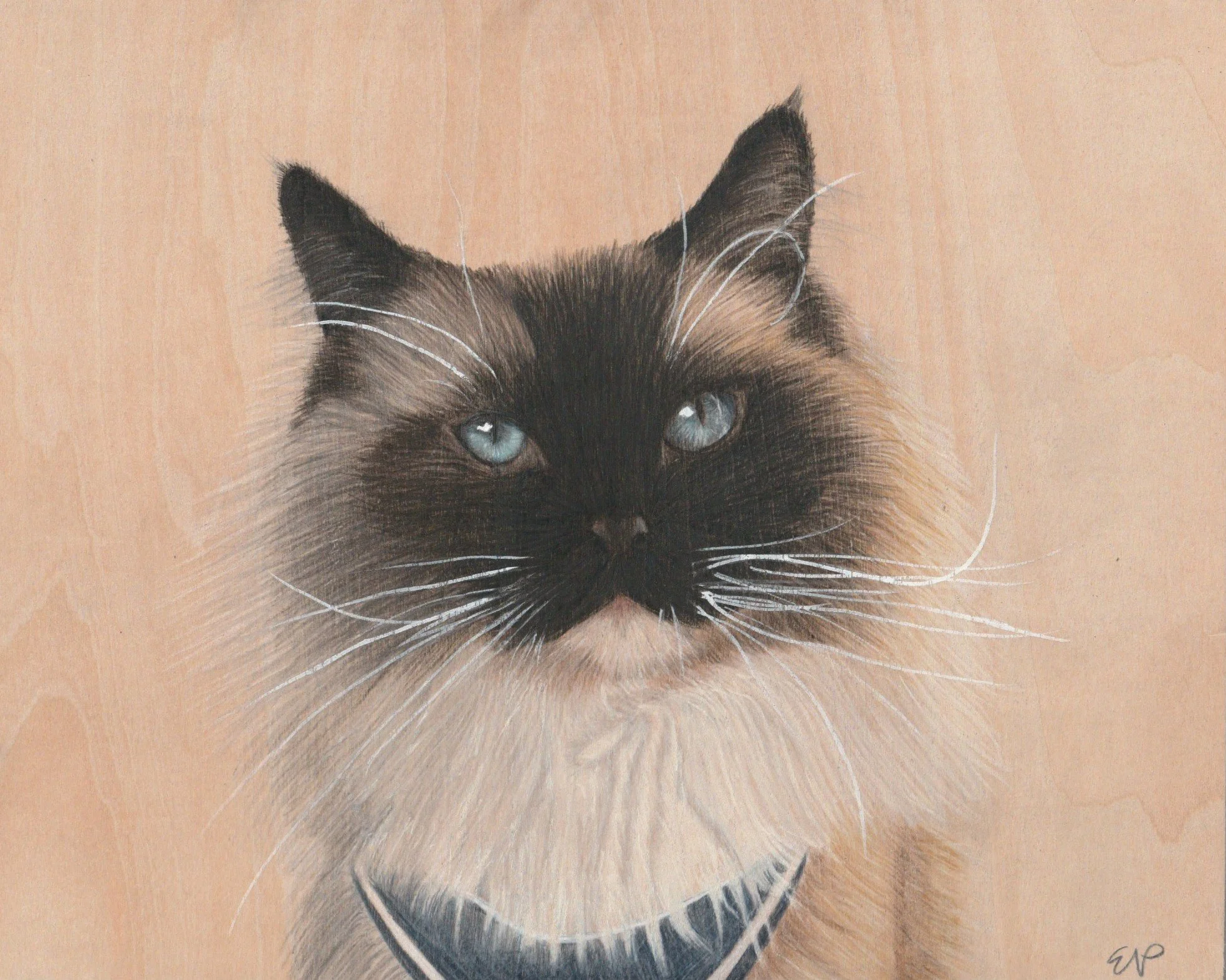 Casper | 8x10 | colored pencil on wood panel