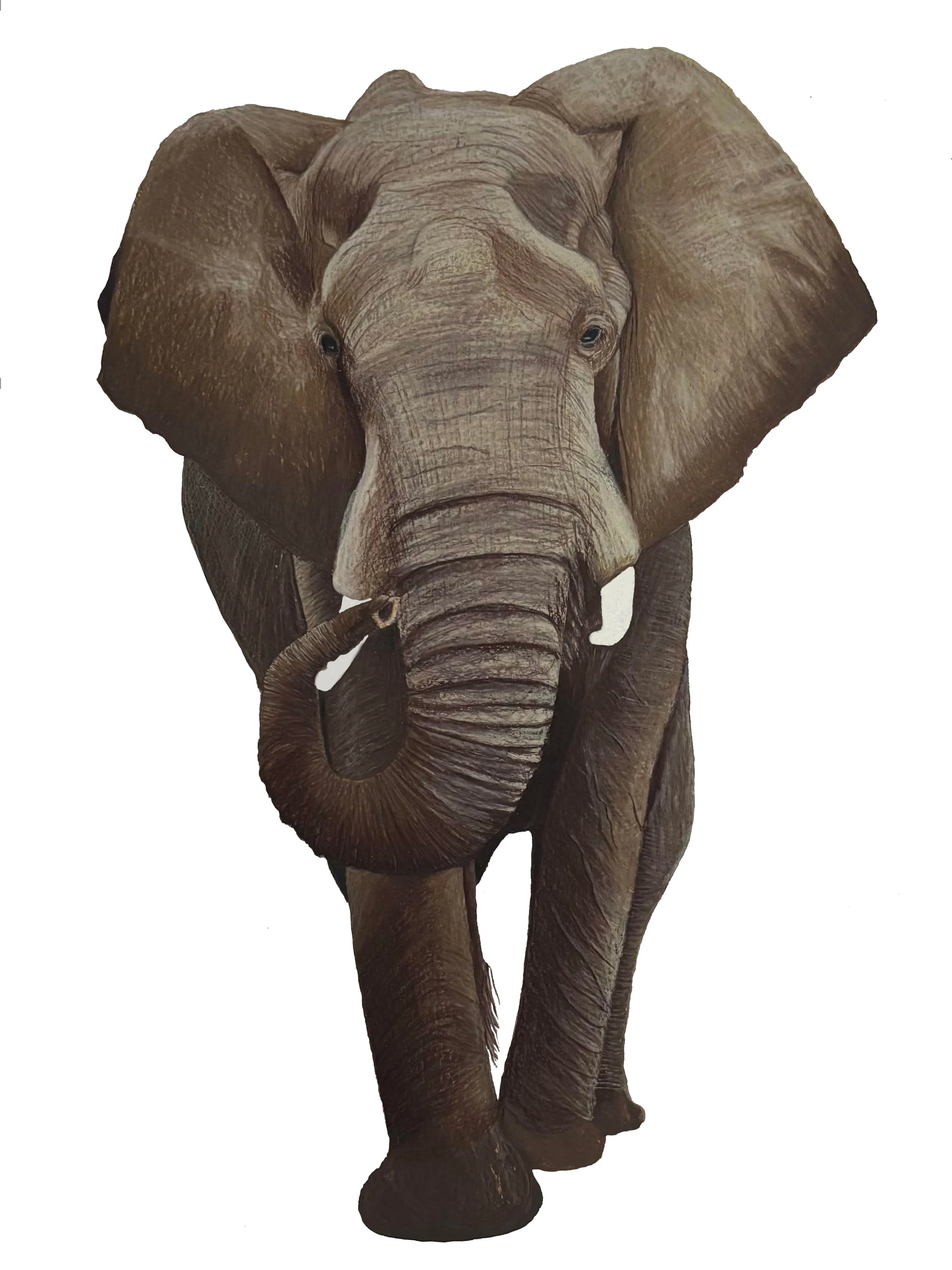 Elephant | 11x14 | gouache + colored pencil
