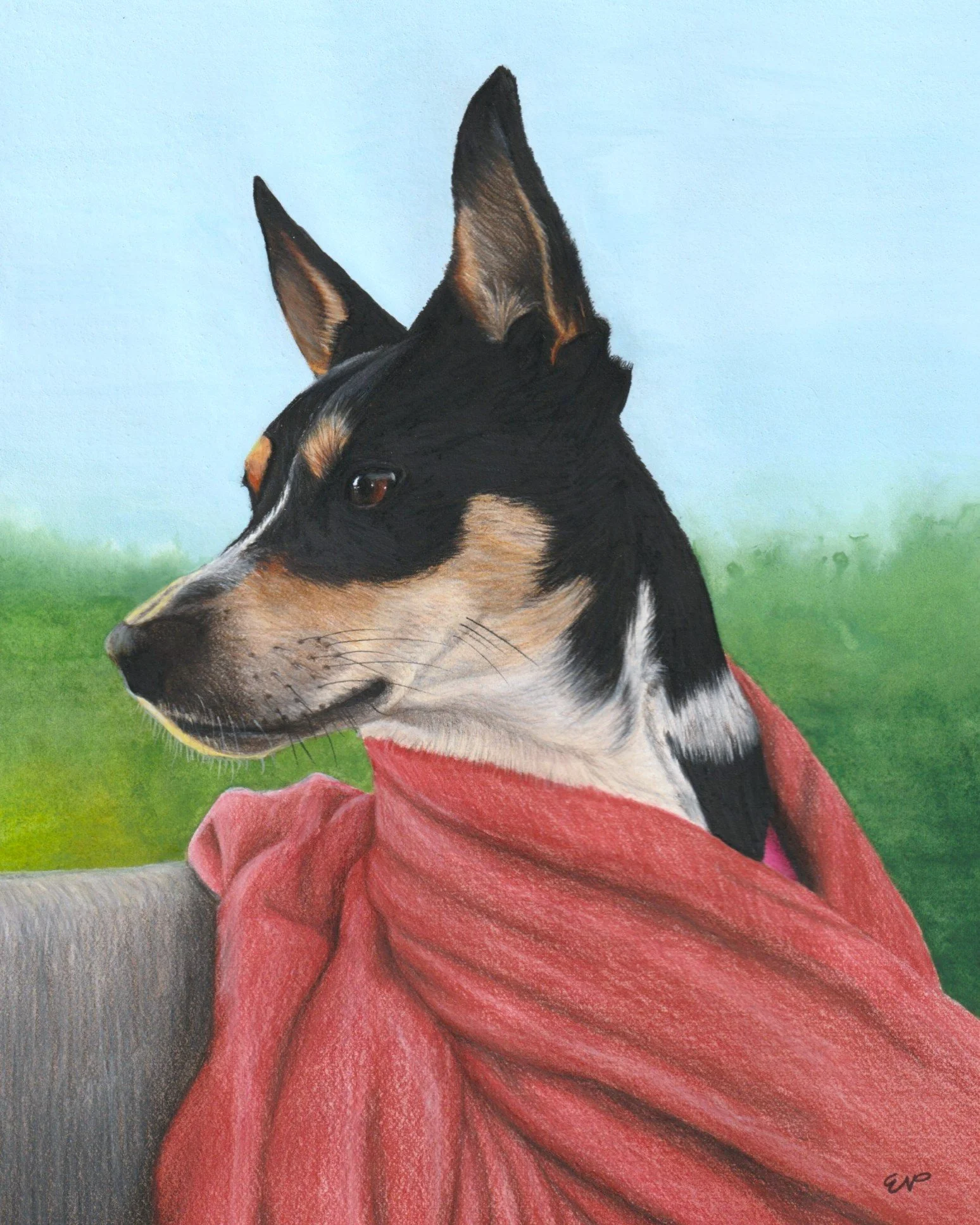 Willow | 8x10 | watercolor + colored pencil