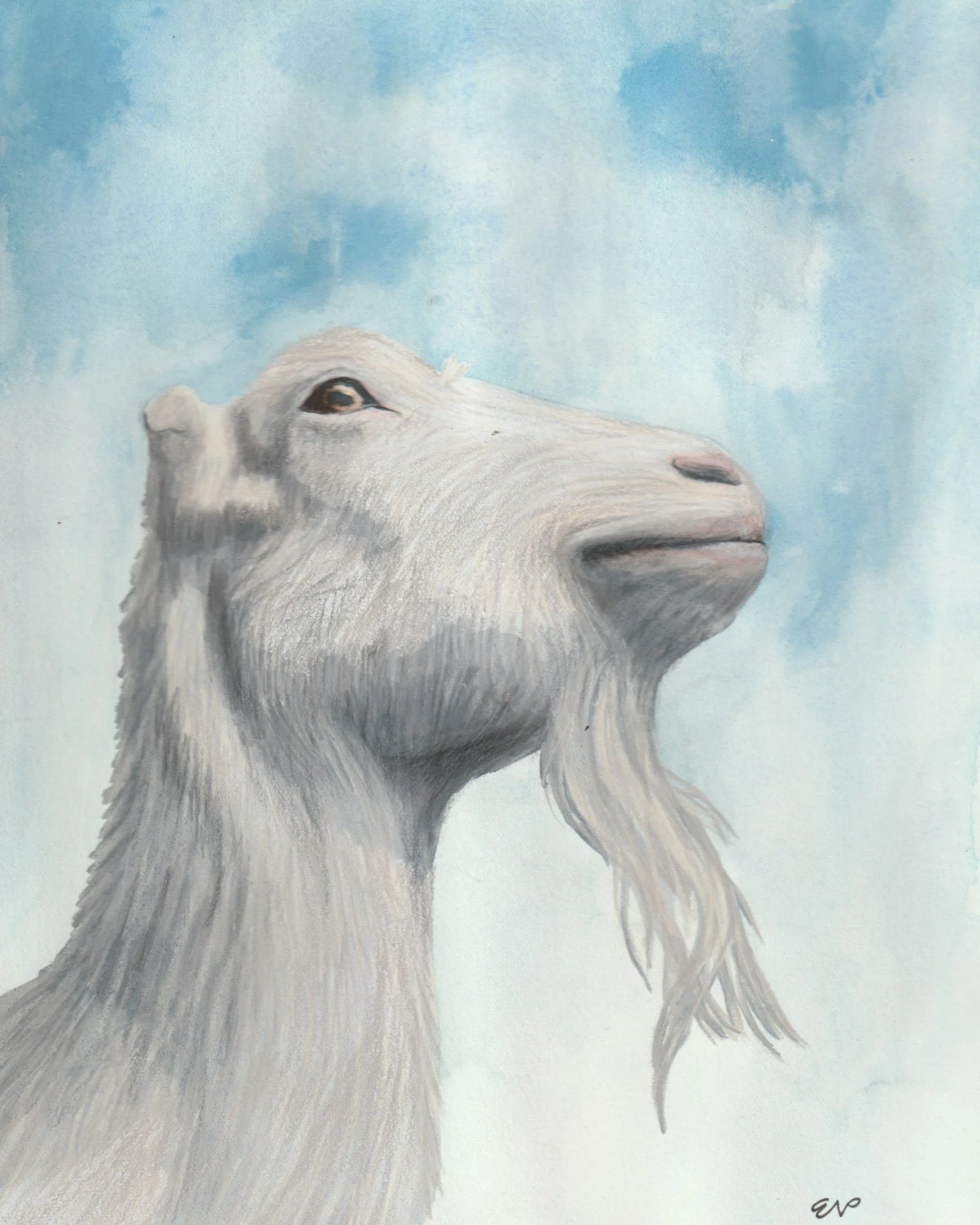 Keiko | 8x10 | gouache, watercolor + colored pencil