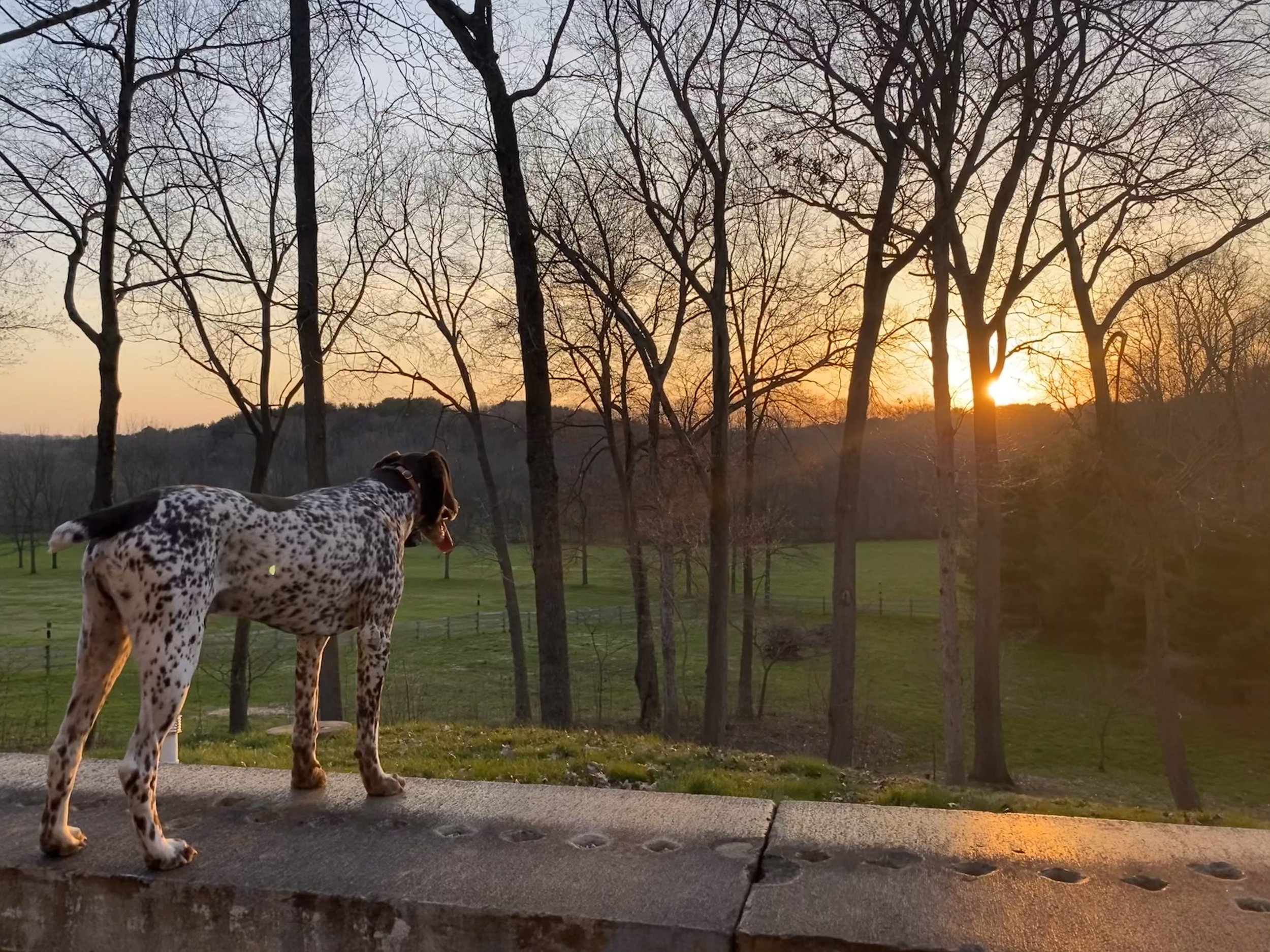 The sun going down
