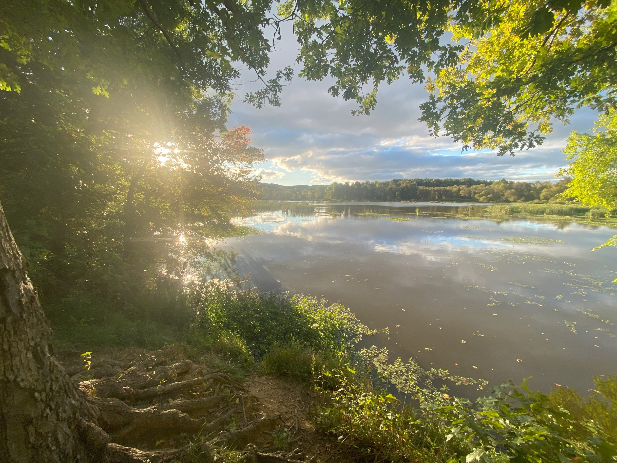 Octoraro Reservoir
