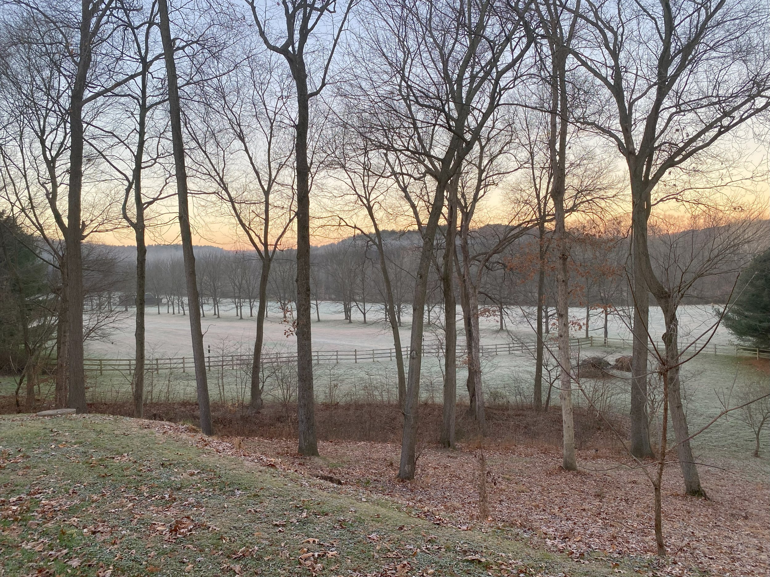 Frosty day