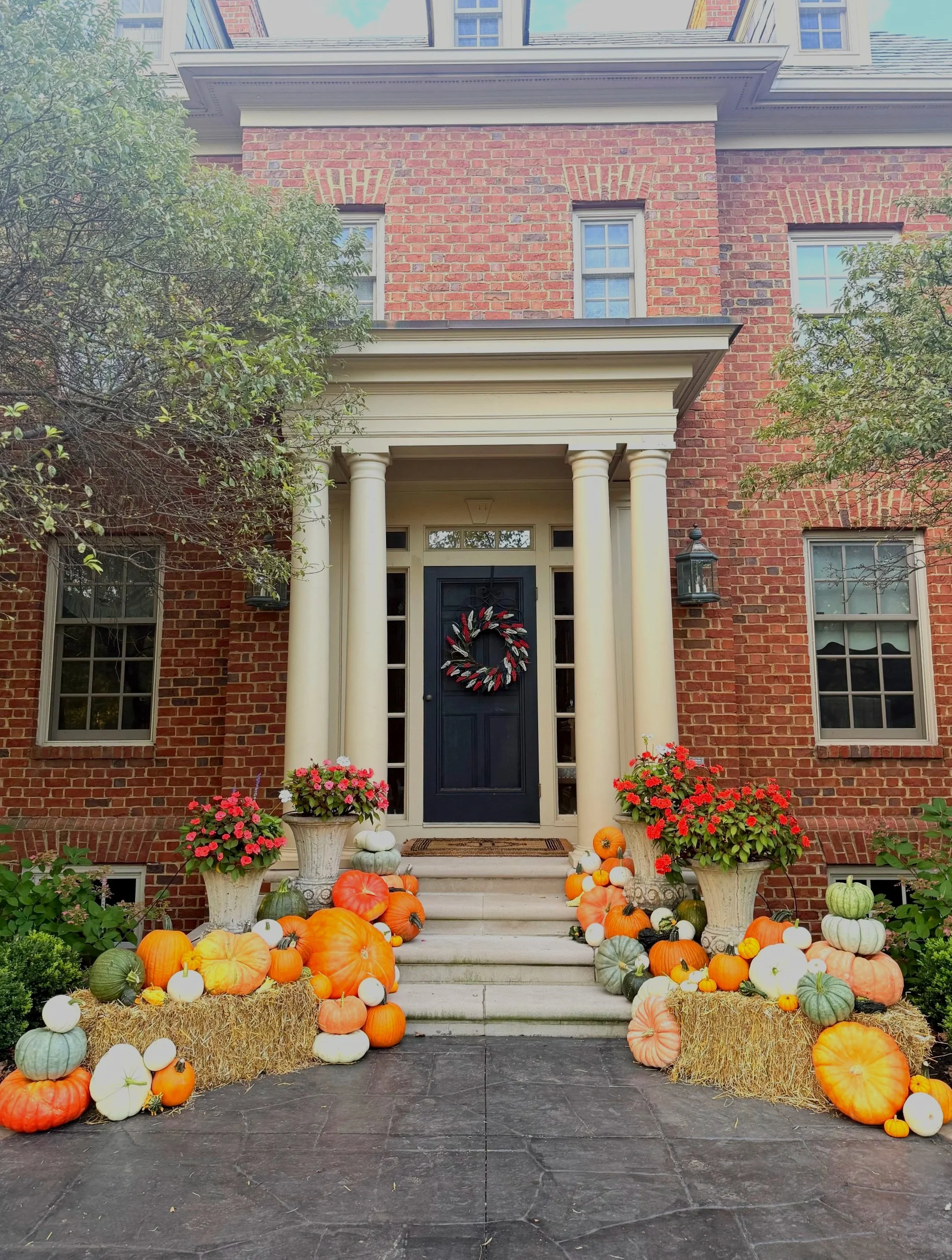 Patch Perfect Package