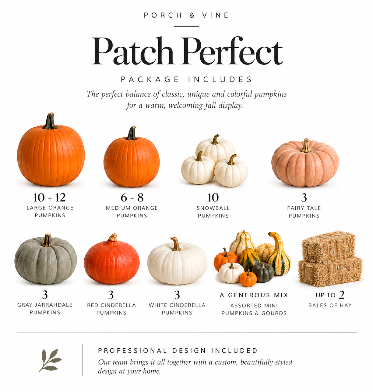 Patch Perfect Package