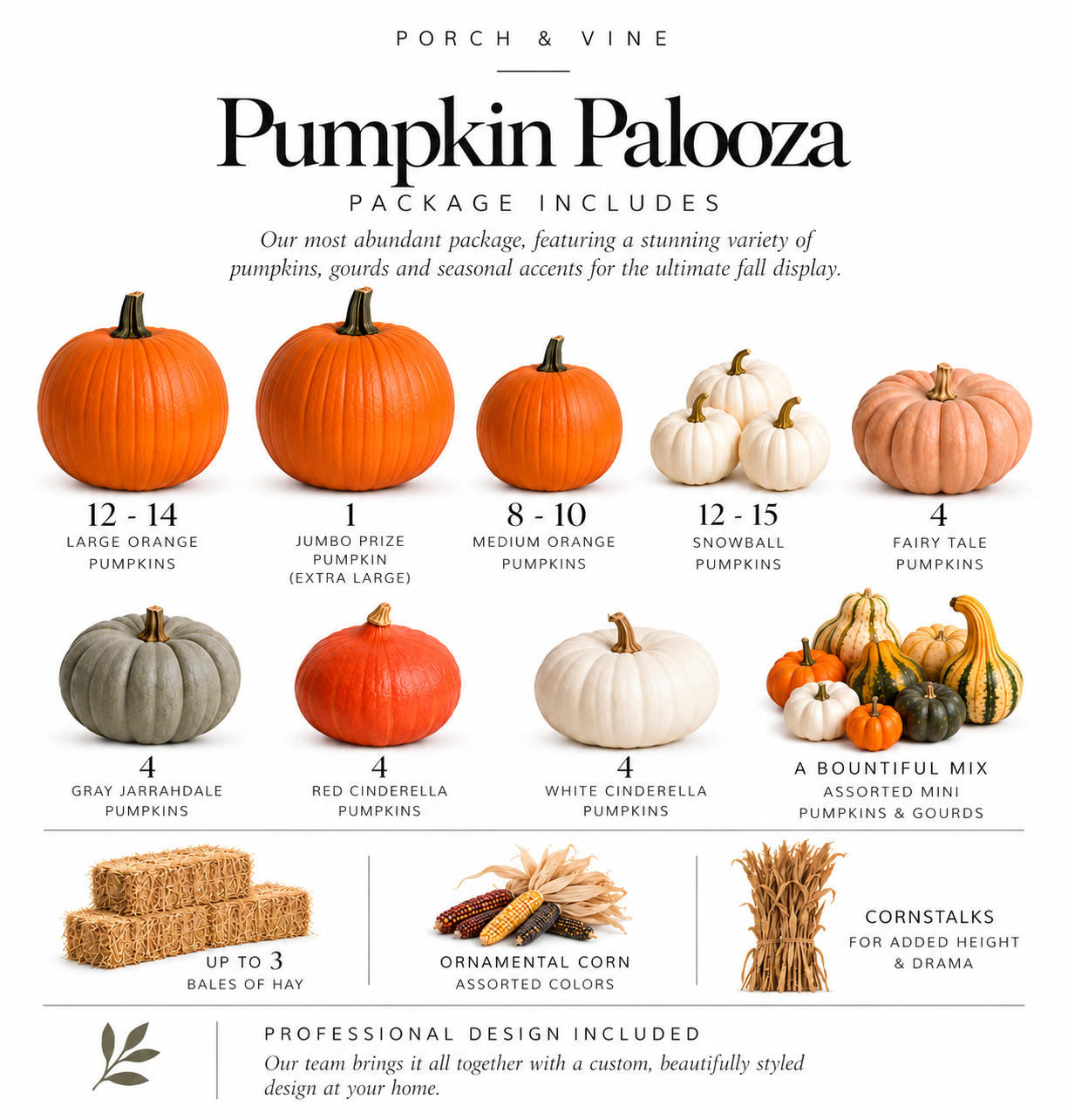 Pumpkin Palooza Package