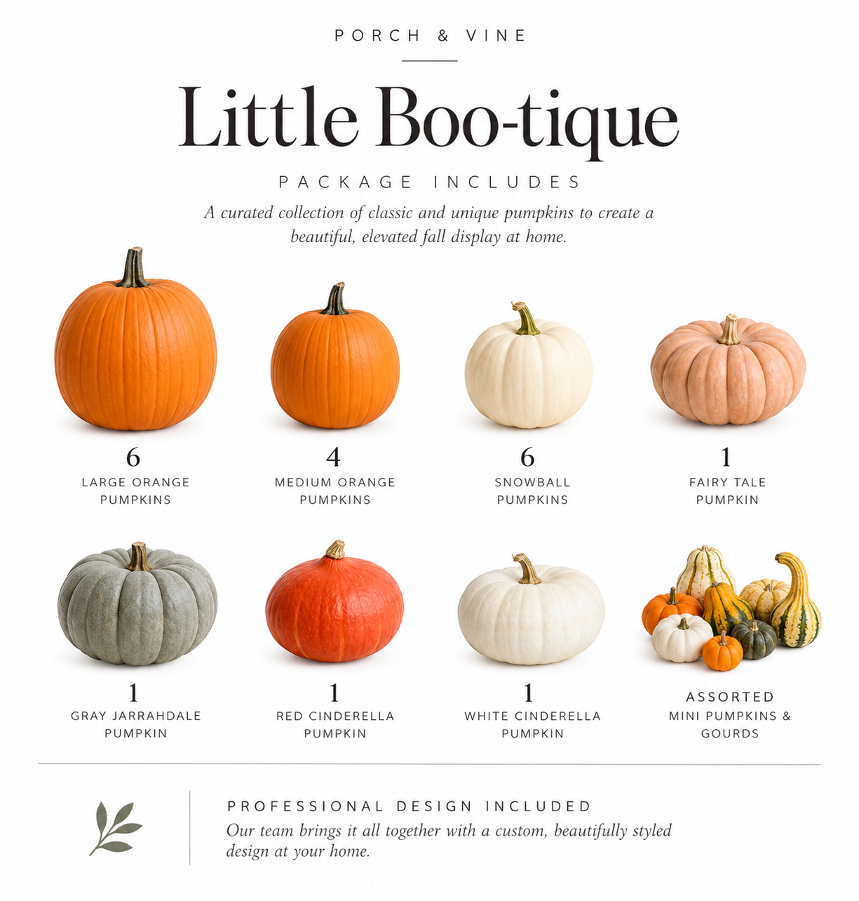 Little Boo-tique Package