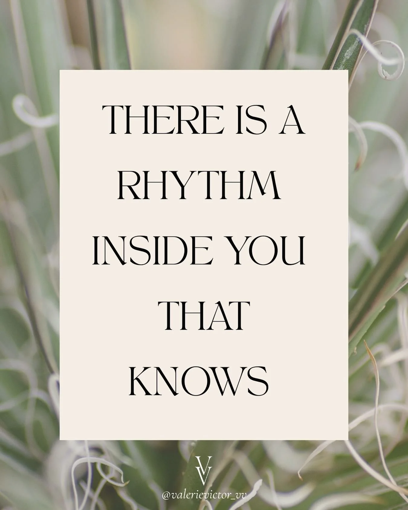 The body remembers even when the mind forgets. The rivers of life that flow between your heart and womb are always moving and speaking. But in our noisy world, it can be easy not to feel or hear them. 

This is the essence we explore in Feminine Flow
