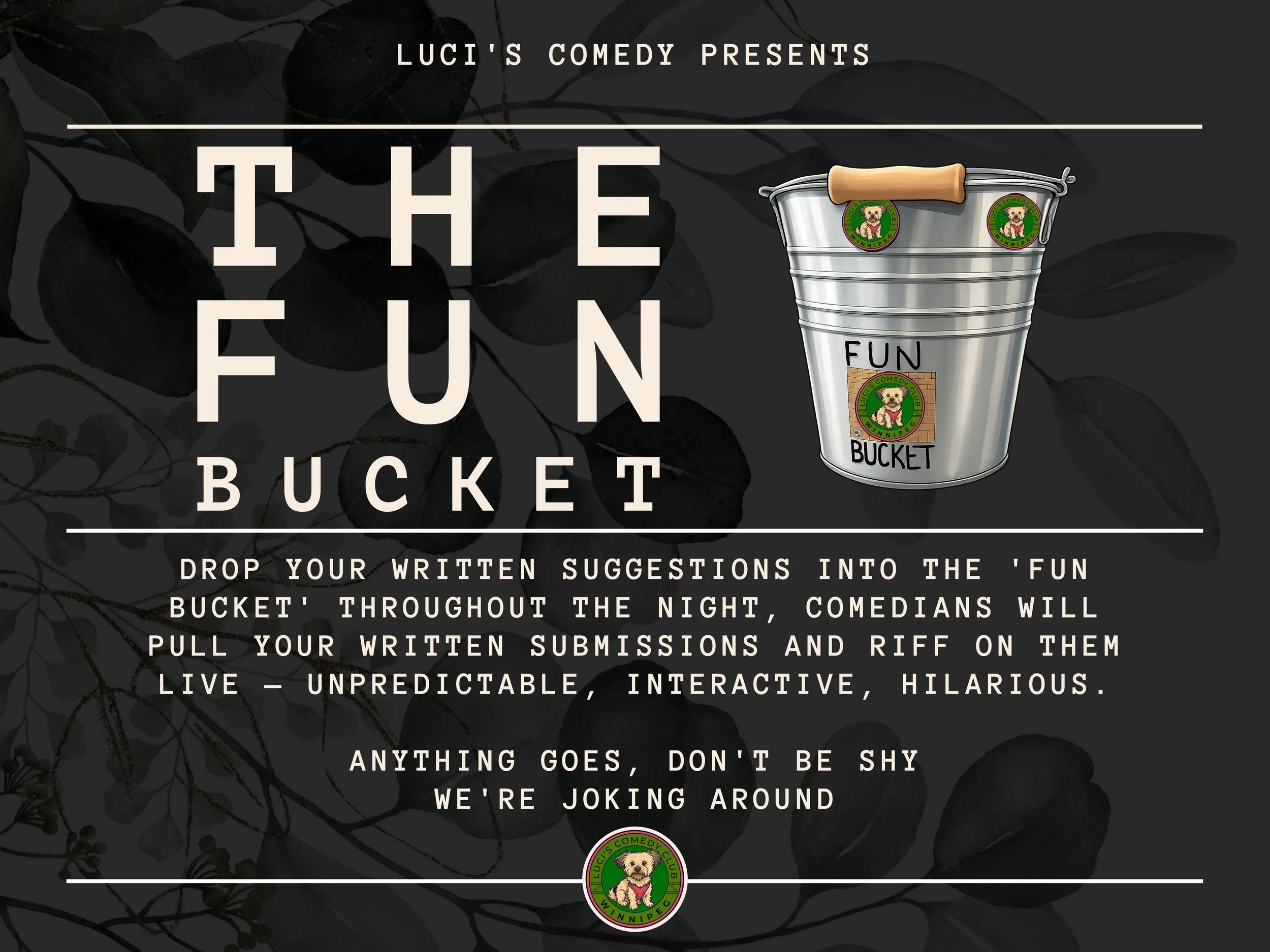 Luci's Fun Bucket & Friends