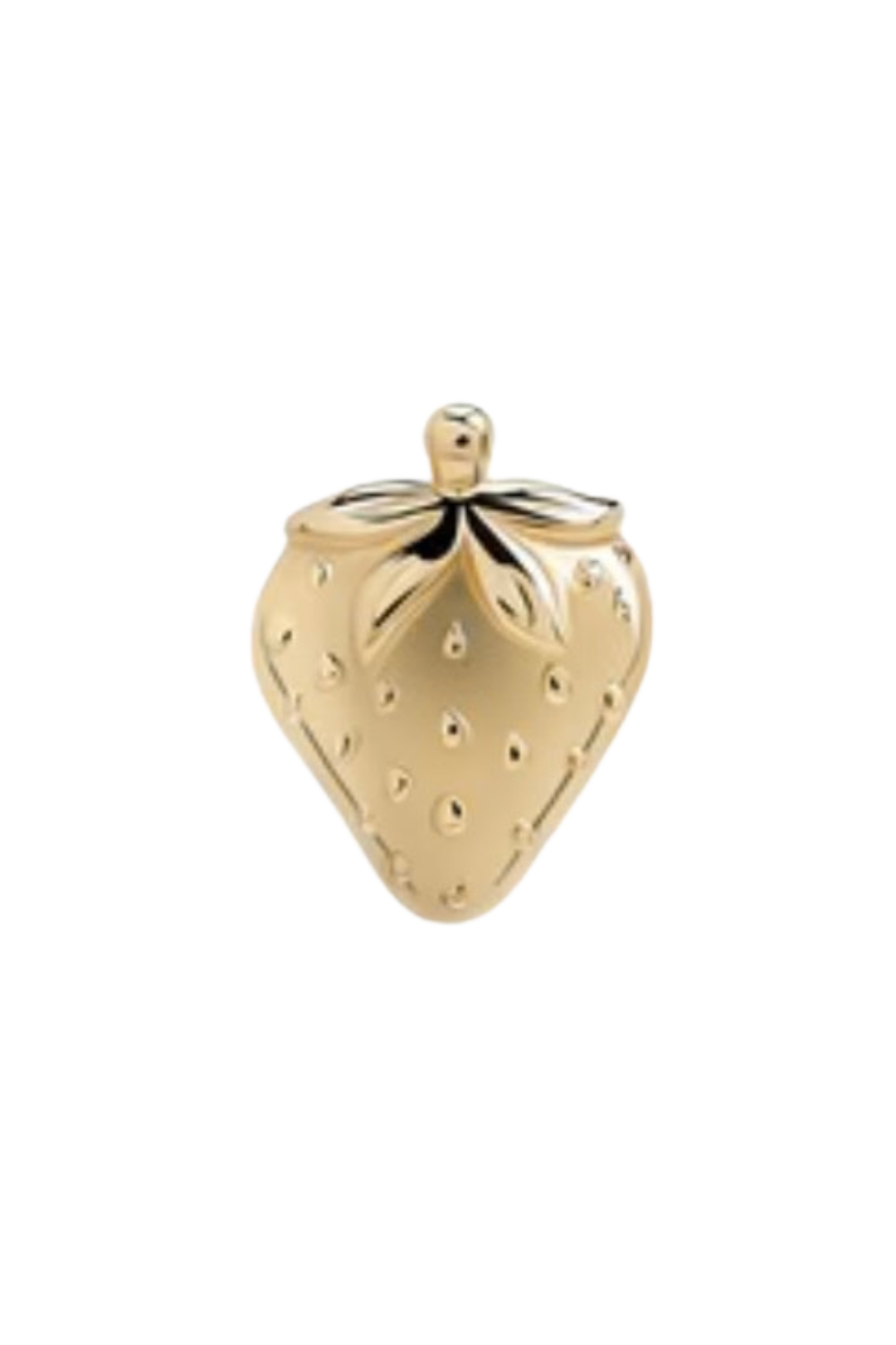 Kids Piercings (5).png