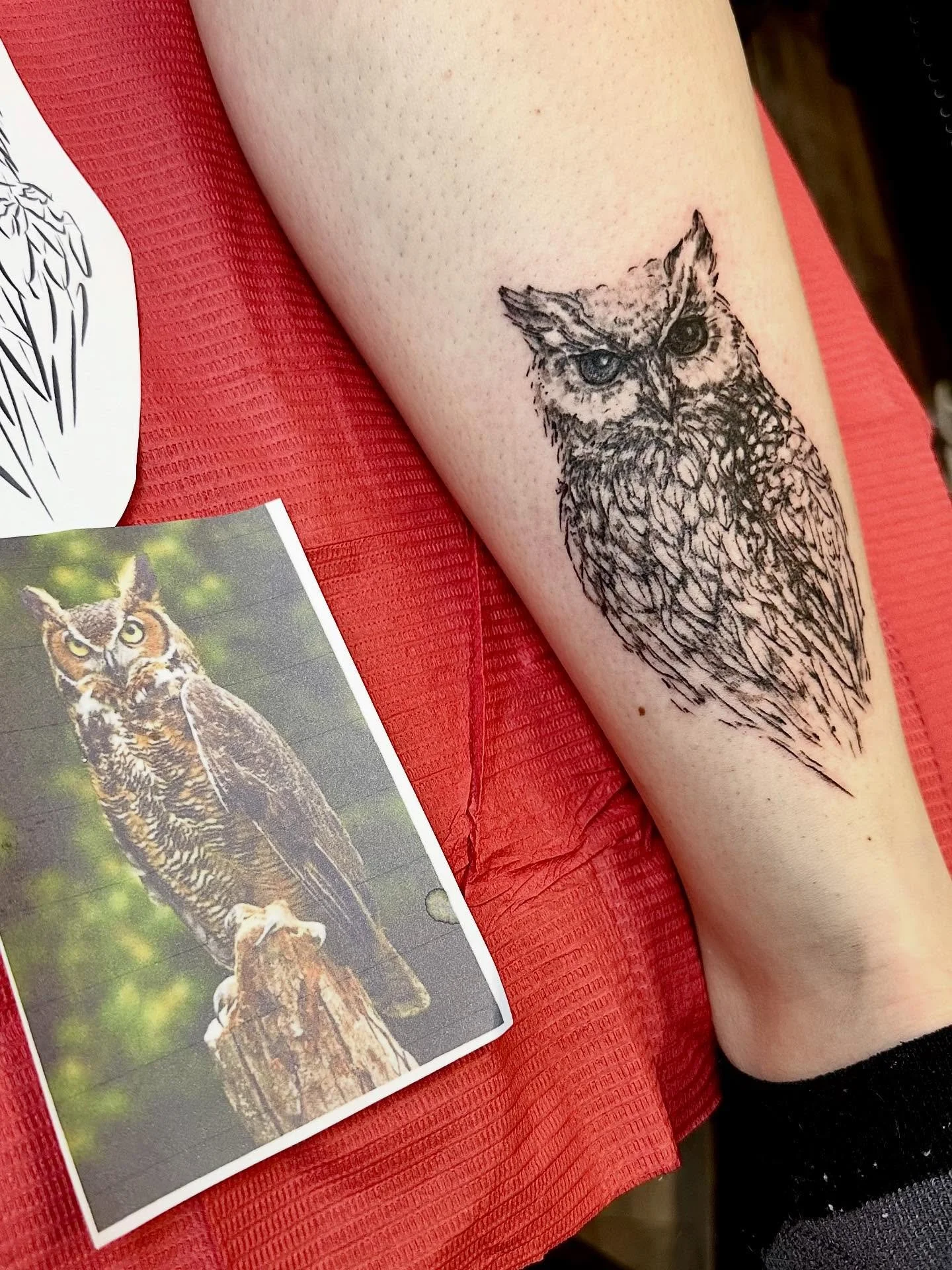 Brittney wanted a realistic looking Great Horned Owl w/ RBF and I said SAY LESS 🤙🏼🤙🏼🤙🏼

Brittney, TYSM 💥💥💥💓💓

#hudsonwisconsin #owltattoos #greathornedowltattoo #finelinetattooing #finelineowltattoo