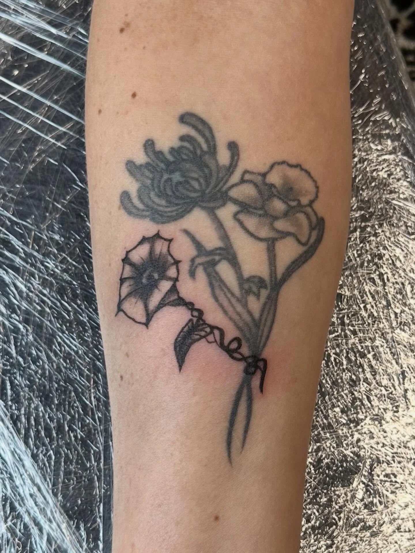 A morning glory for Kylee 💖 TYSM!

#hudsonwisconsin #morningglorytattoo #finelinetattooartist #finelinefloraltattoo #minnesotatattooartist