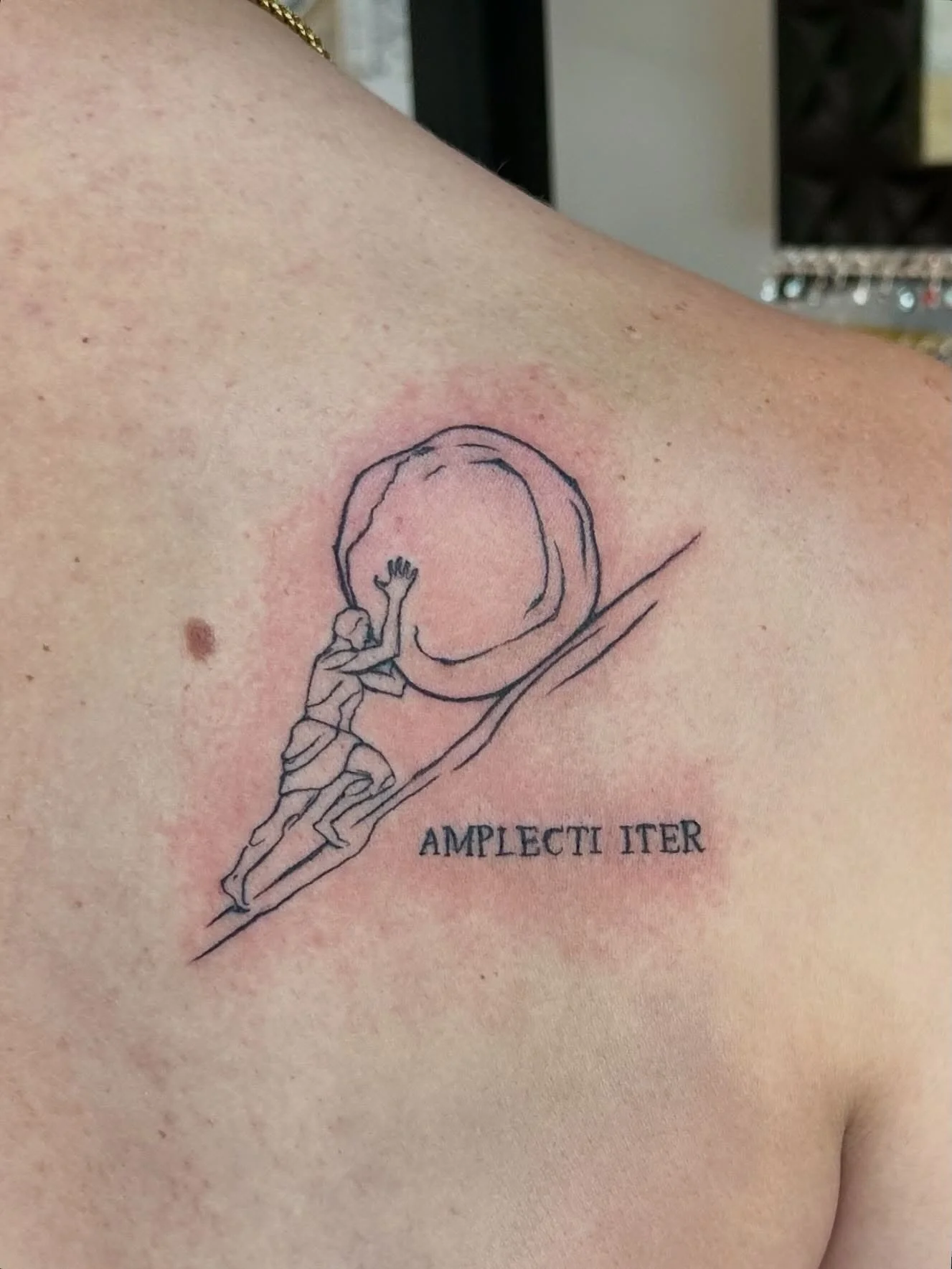 TYS Lincoln 🙏🏻

#hudsonwisconsin #finelinetattoo #sisyphustattoo #wisconsintattooartist #wisconsintattoo