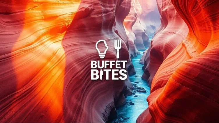 Issue #18: Stop Bouncing Back. Bounce Forward.