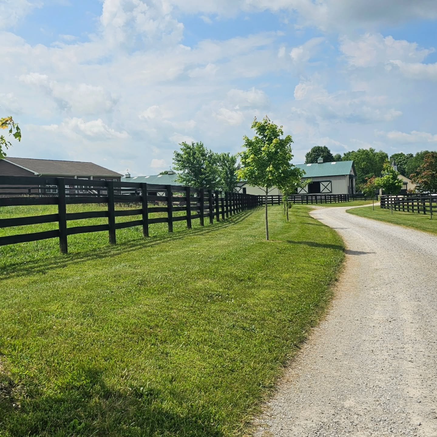 This morning’s delivery was a dream — charcuterie boxes headed to a gorgeous horse farm, just outside the city. Lexington is full of surprises; one minute you're surrounded by downtown buzz, and the next you're winding past stone fences a