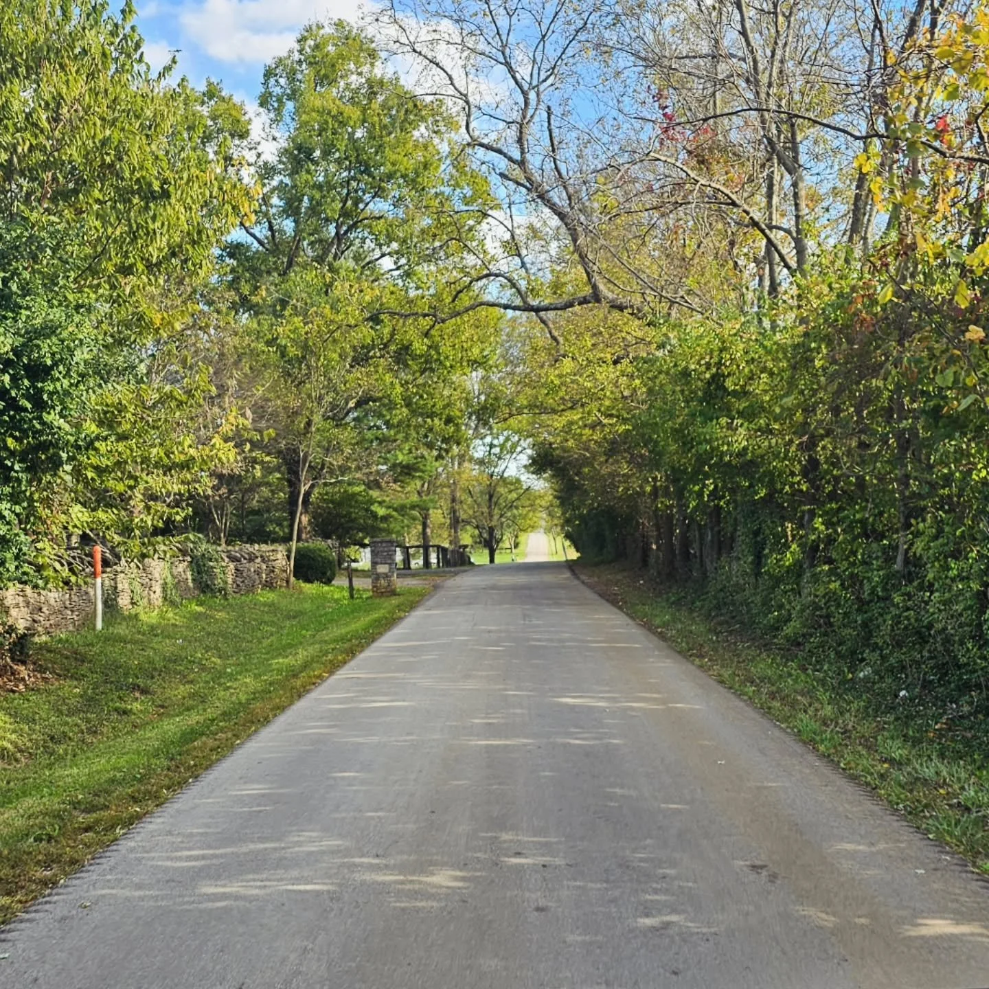 Had a great time at @equusrunvineyards today! What a great way to spend a Sunday afternoon with sunshine, great weather, great wine, and of course, great snacks. 

Thanks for having me!