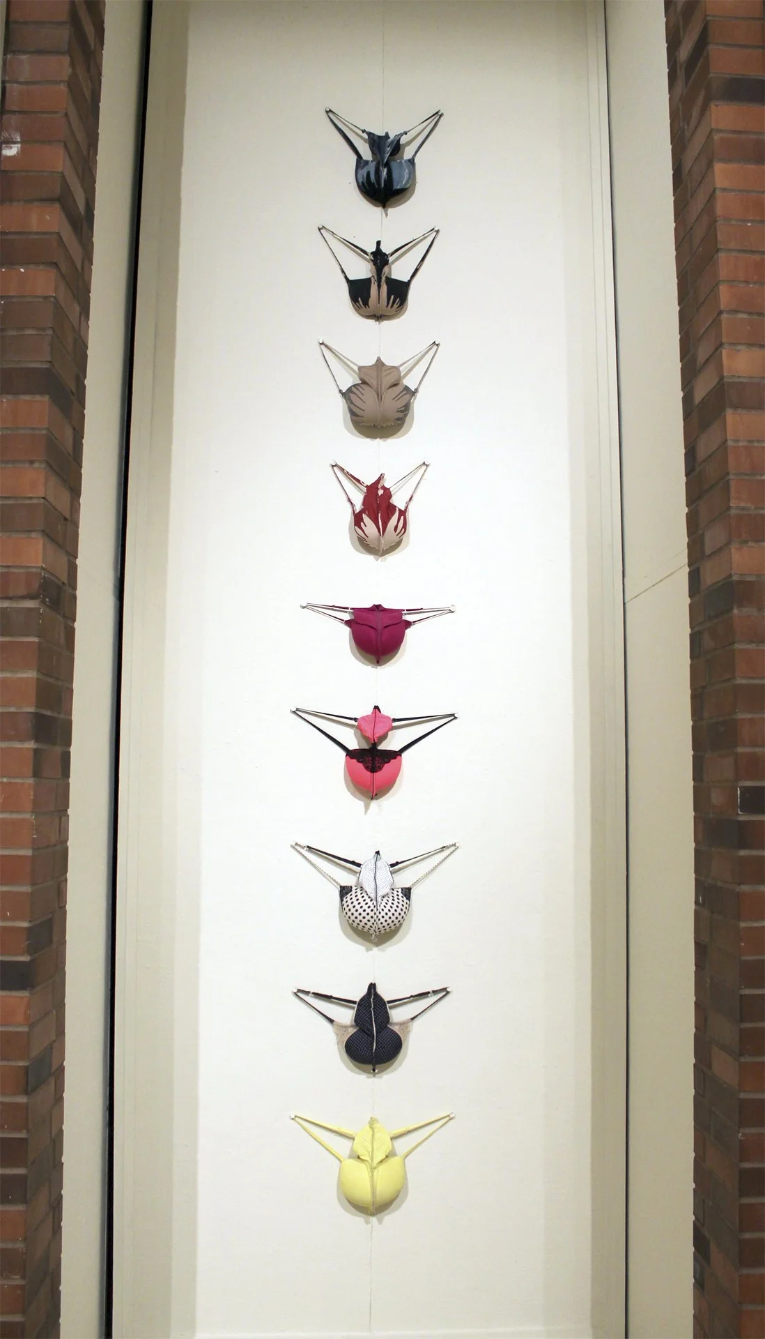 Medium: Donated Brassieres, Thread, Poured Latex Enamel Paint, and Painted Thumb Tacks
Dimension: 14' x 12'' (install dimension)
Year: 2016