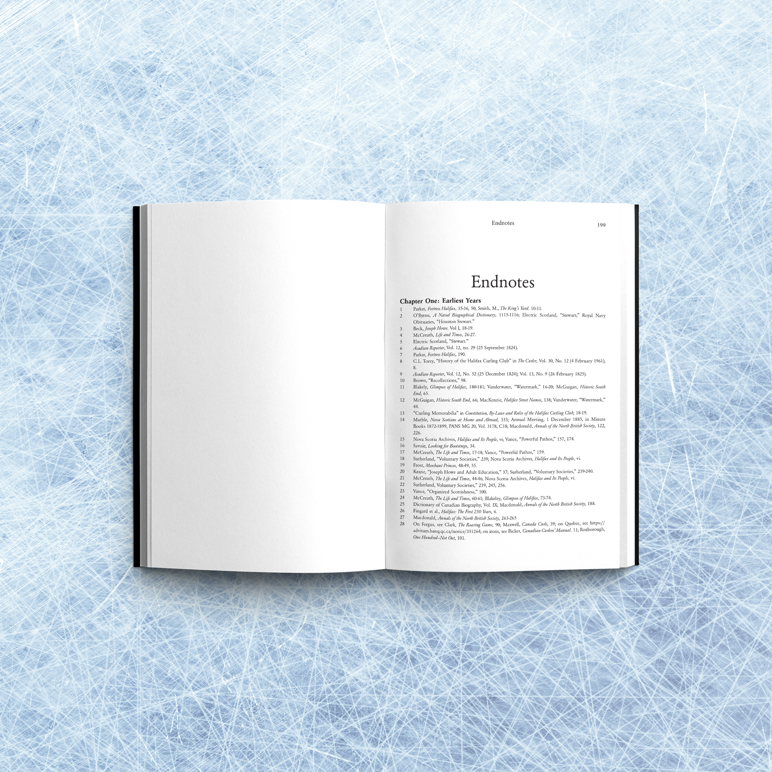 OpenBookMockup-LifesSlipperyRink-Endnotes.png