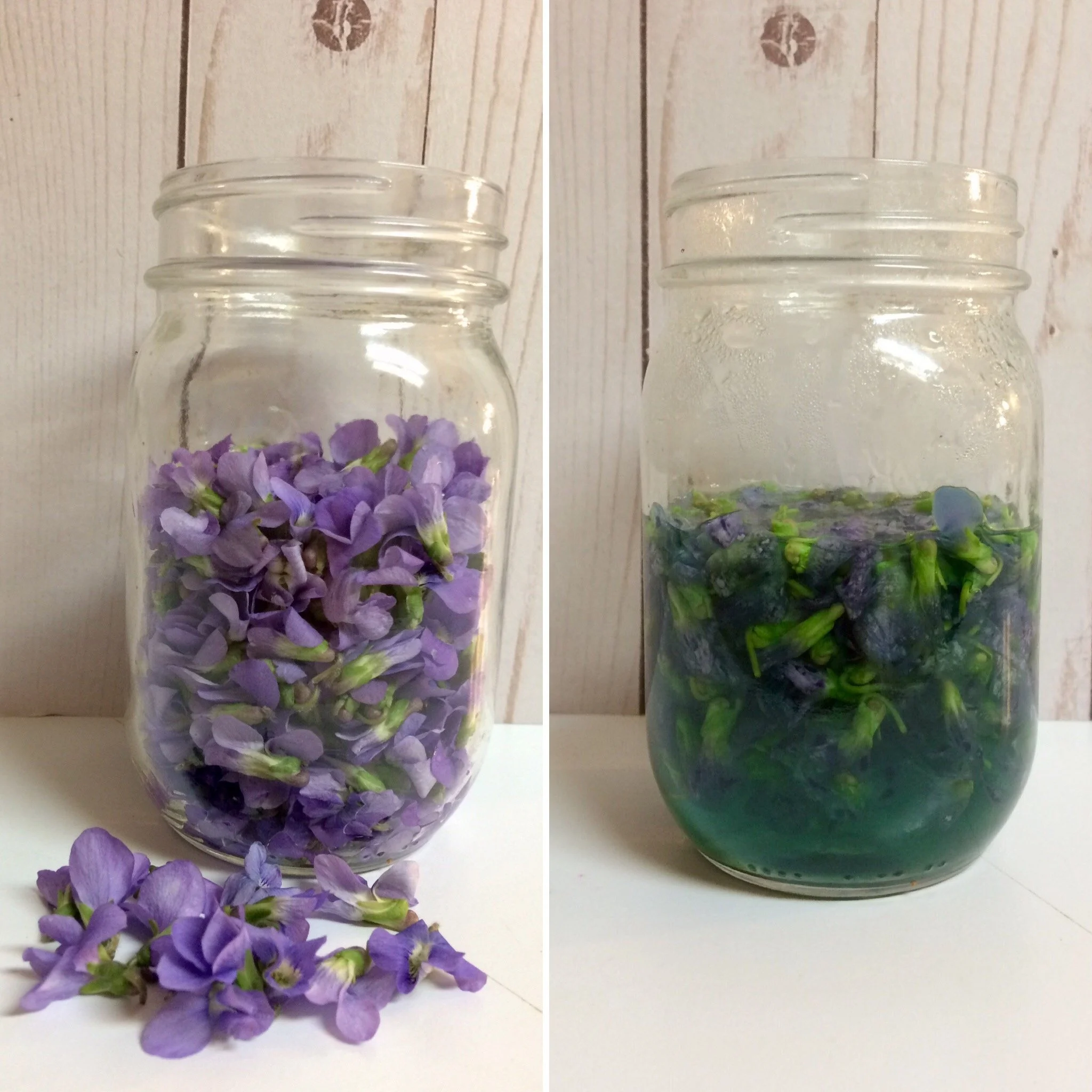 Violet Flower Lemonade