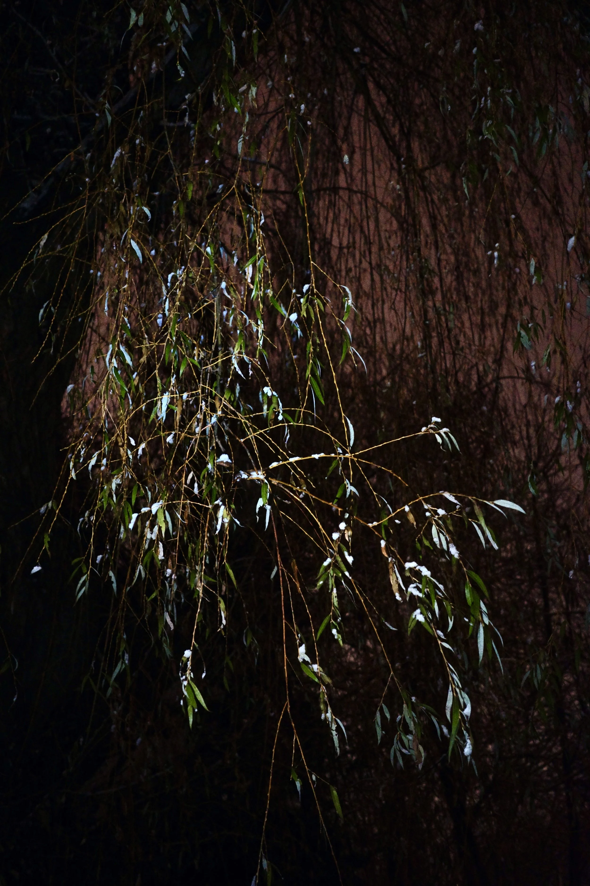 V3-40_copyright_volumecamera .jpg