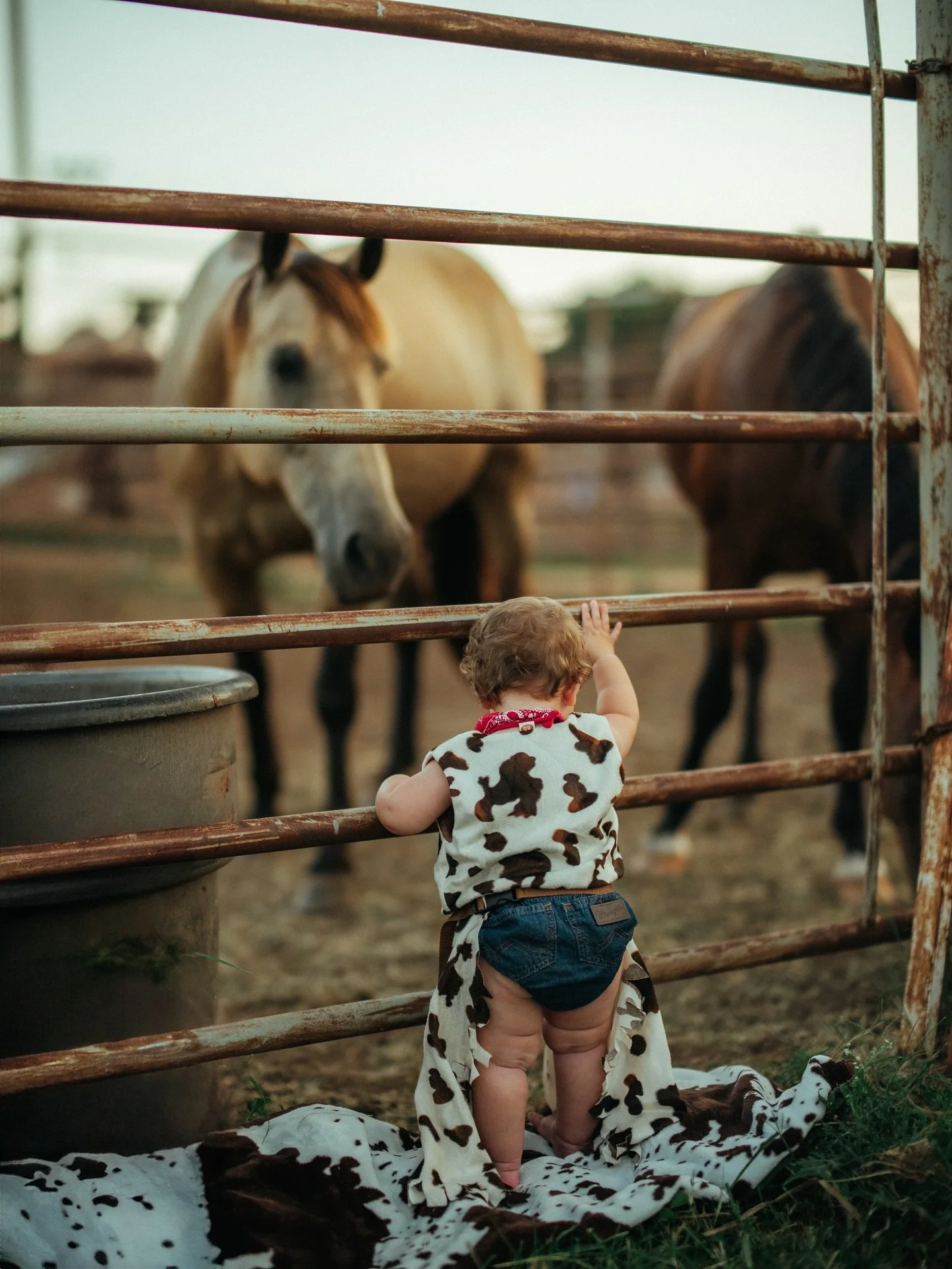 CASH&rsquo;S FIRST RODEO

Are you KIDDING ME @kalenlomas &amp; @abelclomas you have the most precious little man. Thank you for having us celebrate with you! 
.
.
.
#firstrodeo #familyphotoshoot #firstbirthdayphotoshoot