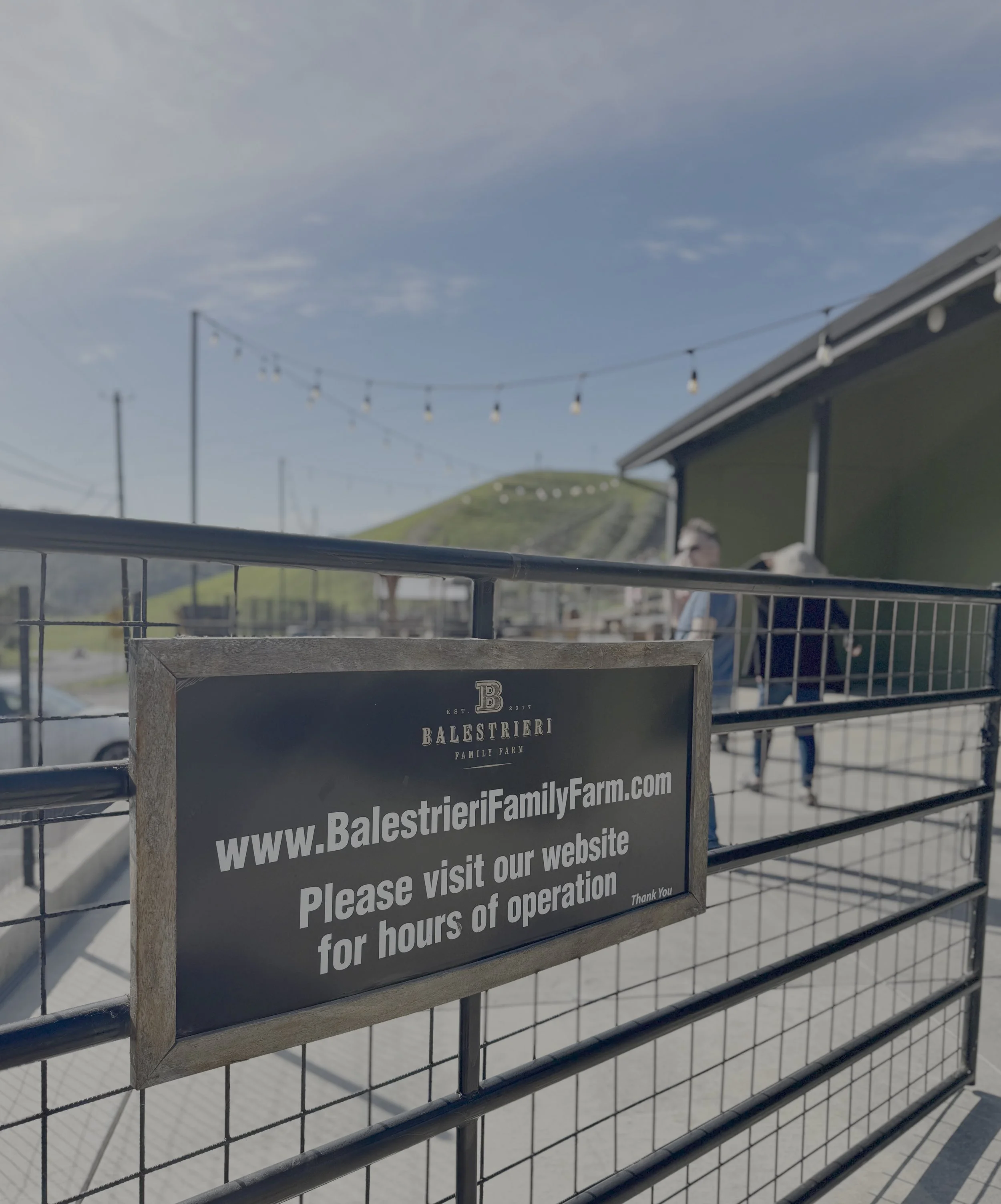 A Relaxed Sunday at BFF Winery (Balestrieri Family Farms)