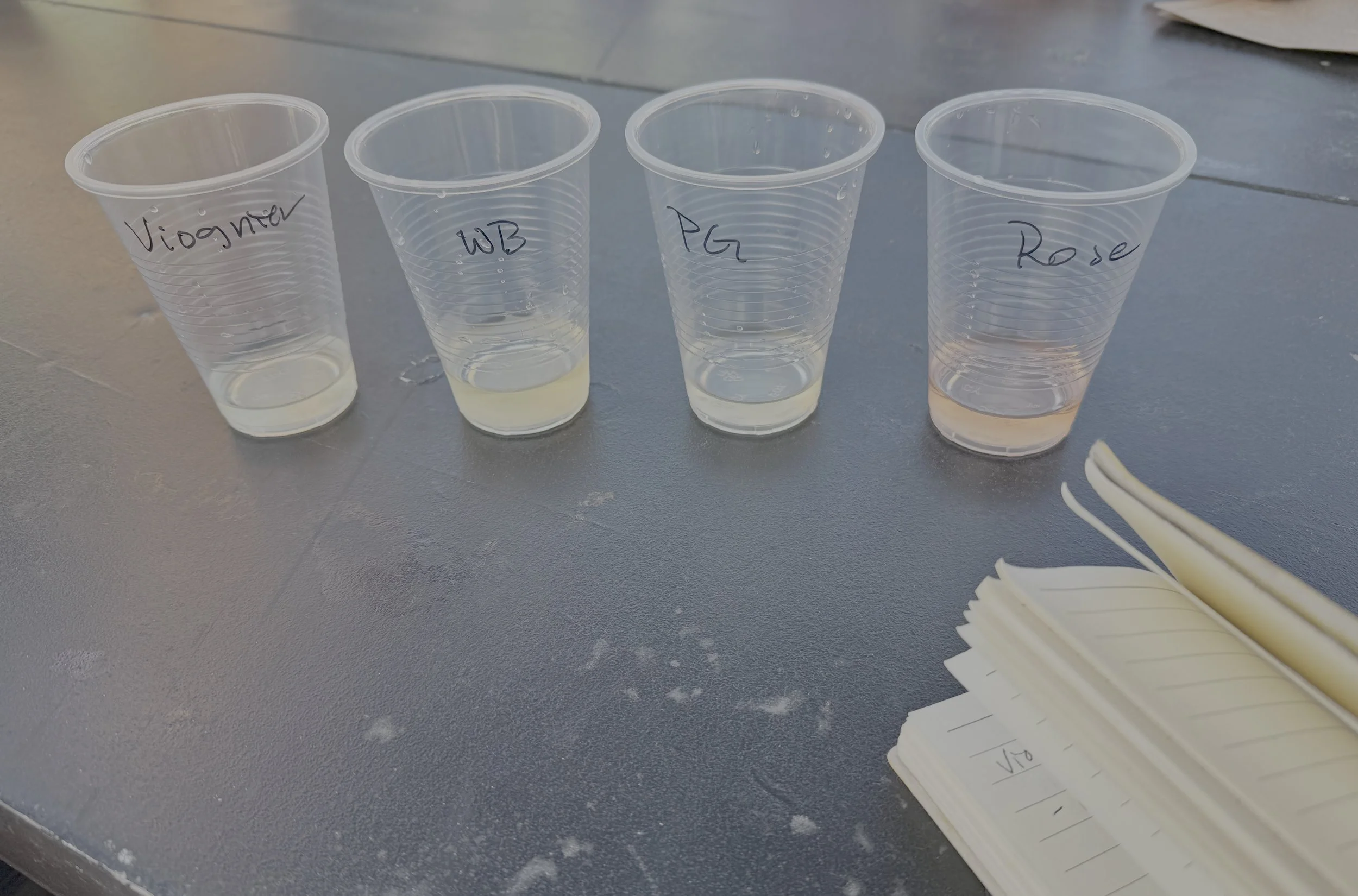 Wine tasting at BFF winery