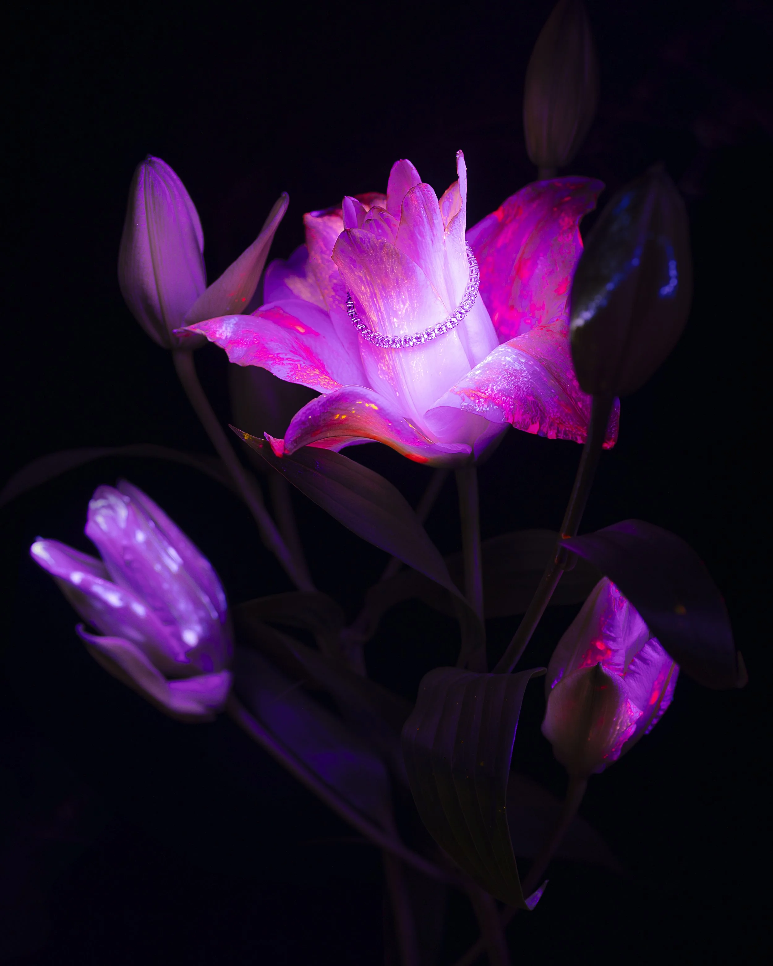adobergb_4x5flowers.jpg
