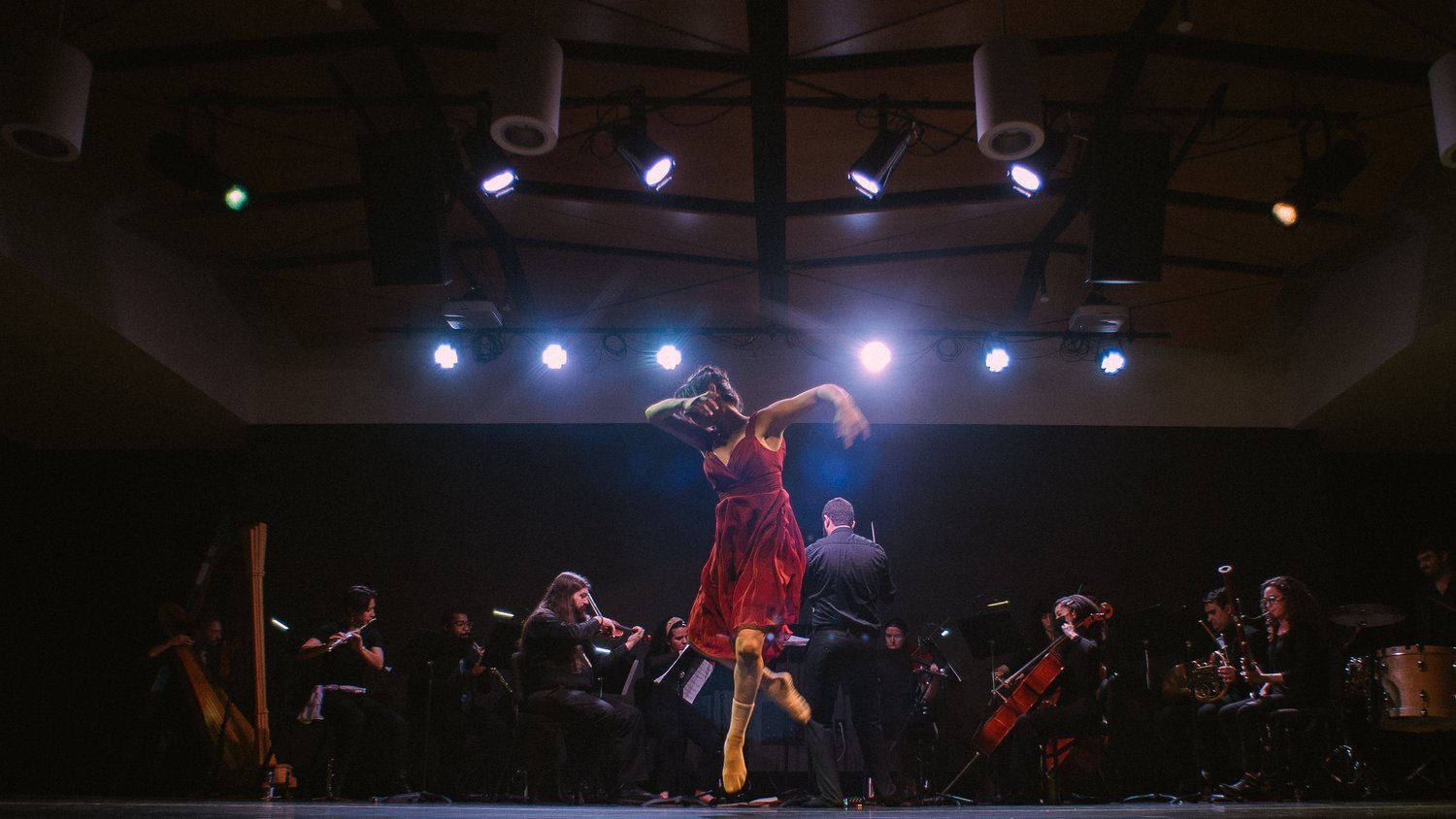 _DSC2266.jpeg