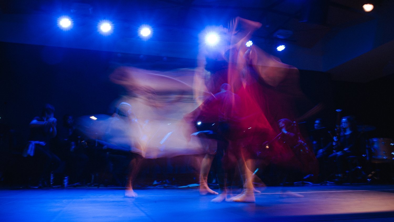 _DSC1623.jpeg