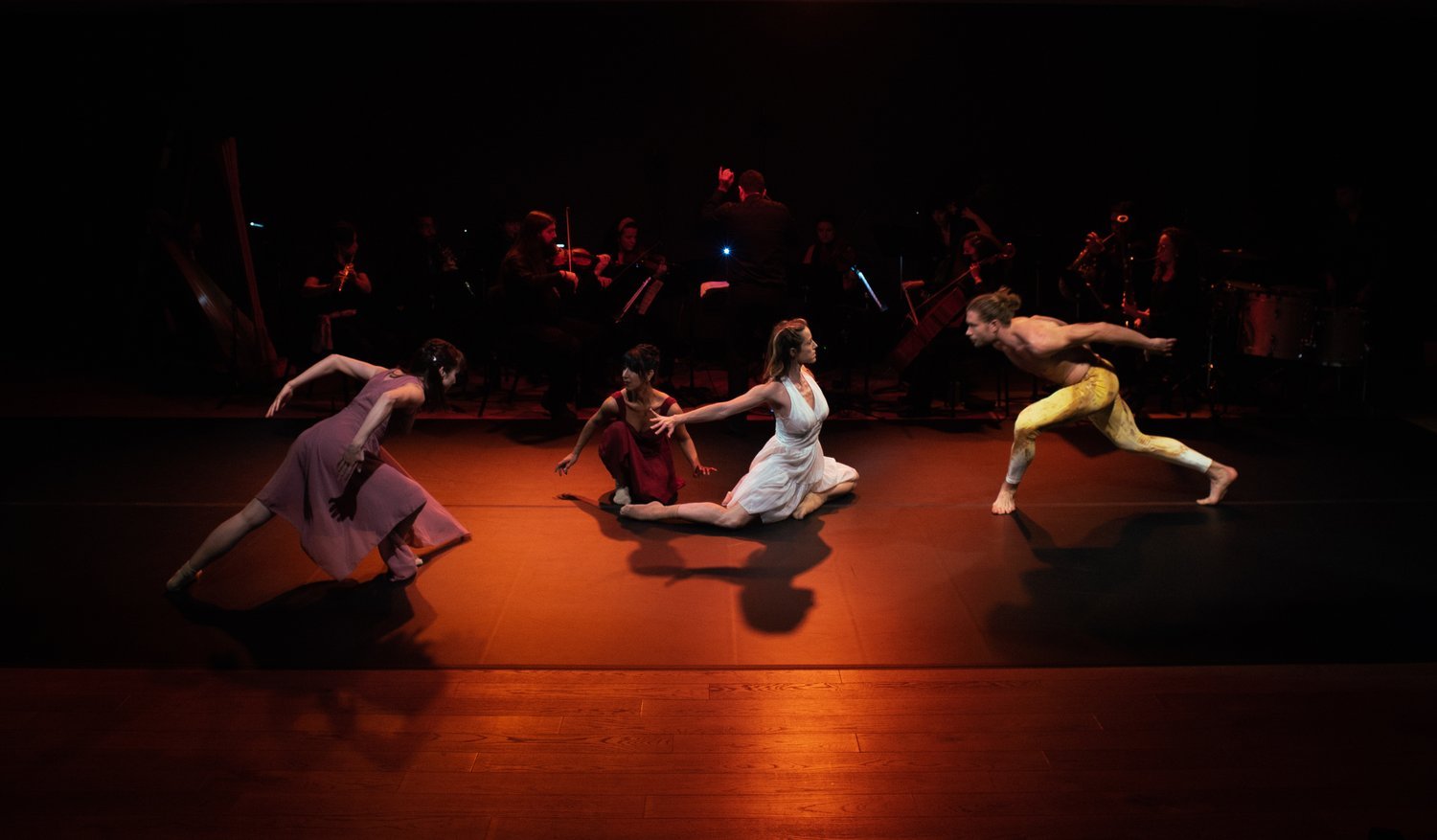 _DSC1637.jpeg