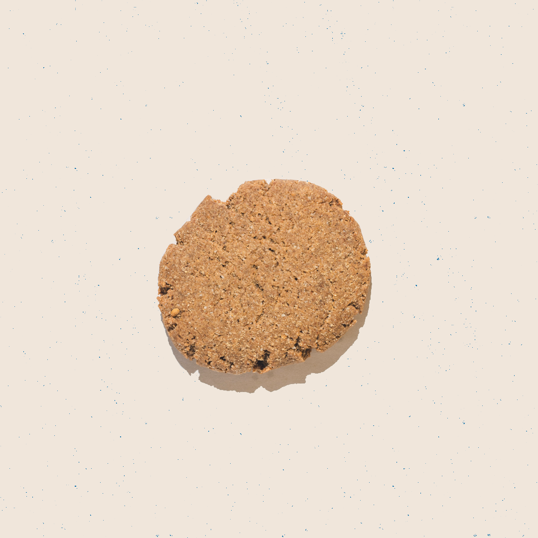 Gingsnap (Large Chookie)