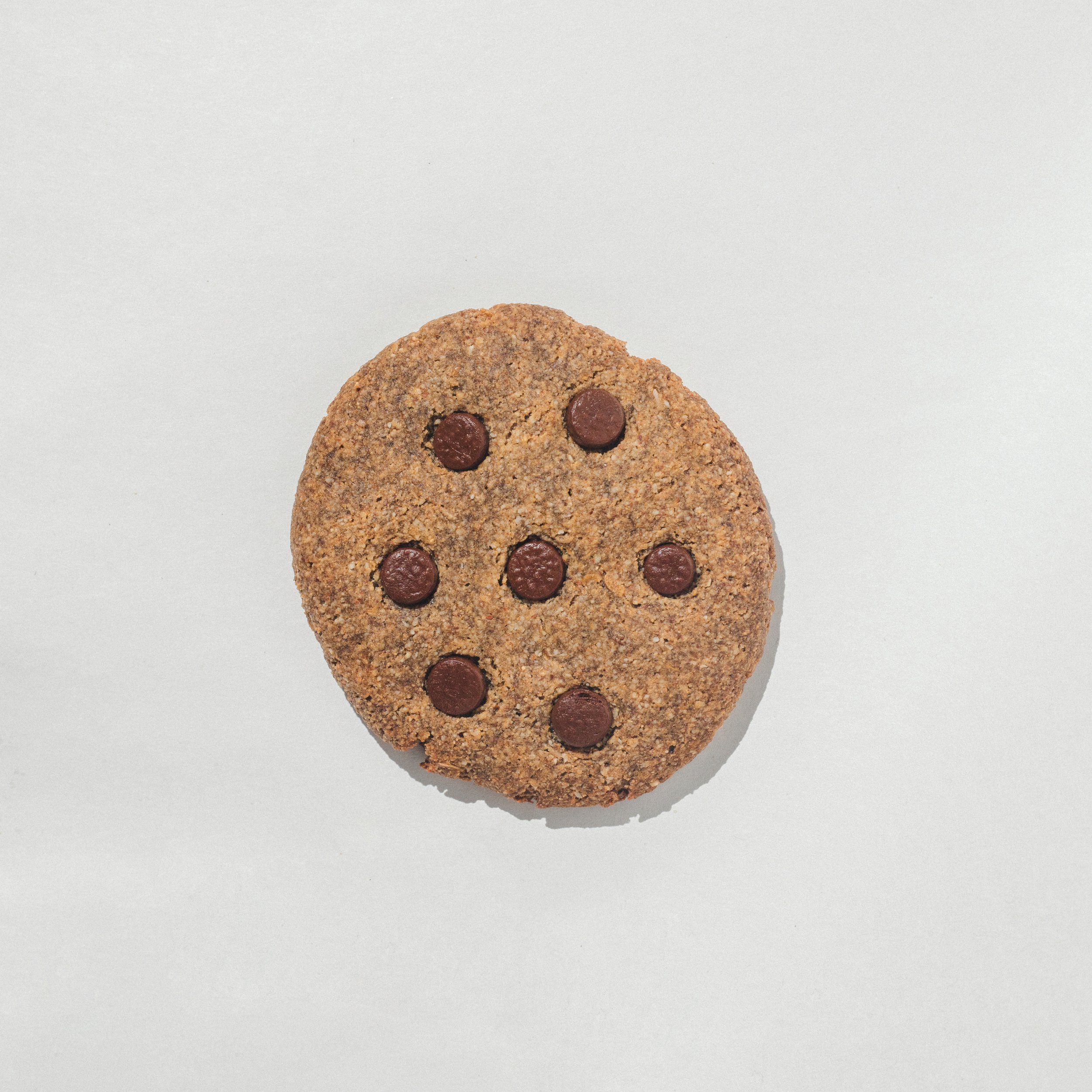 Chocochips (Large Chookie)